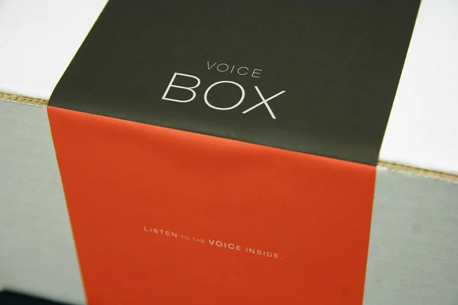 walter_p_moore_voice_3.jpg