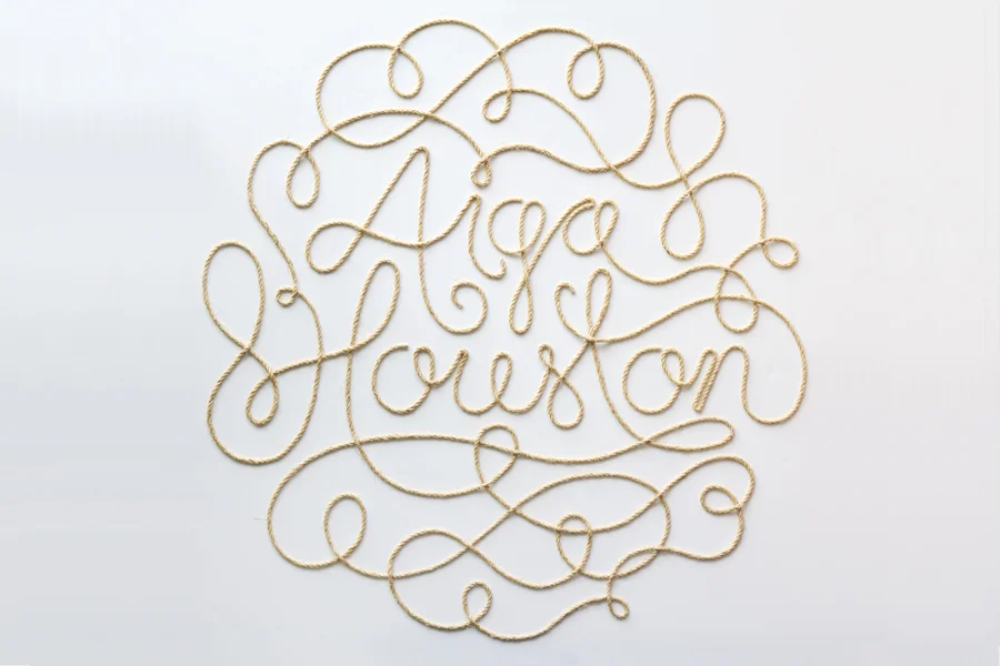 aiga-houston.jpg