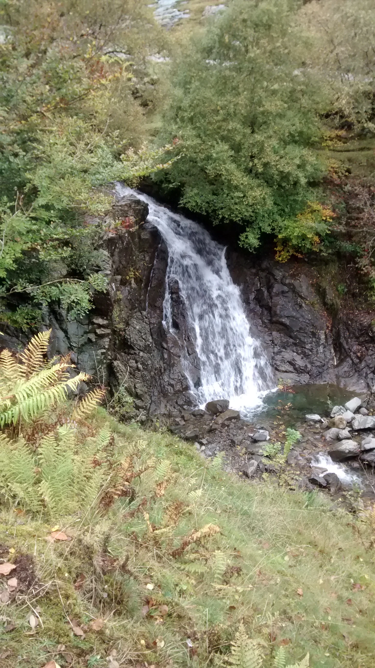 Free Healing Session