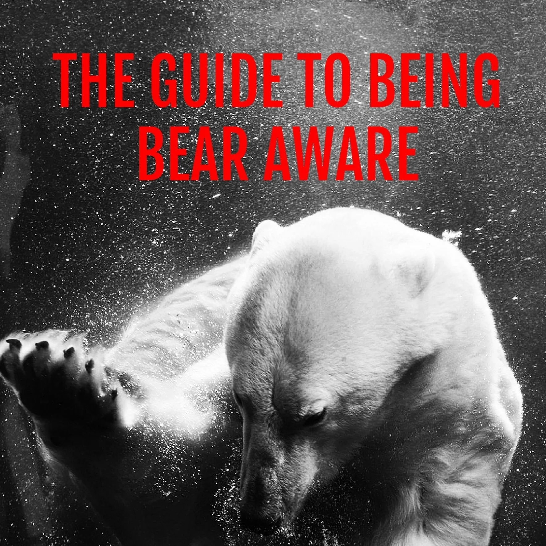 TheGuidetoBeingBearAware cover2.jpg