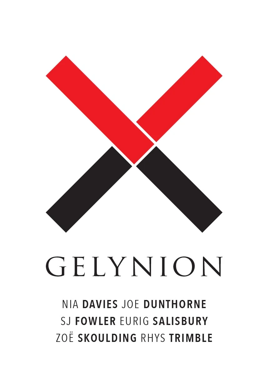 Gelynion / Hazard press