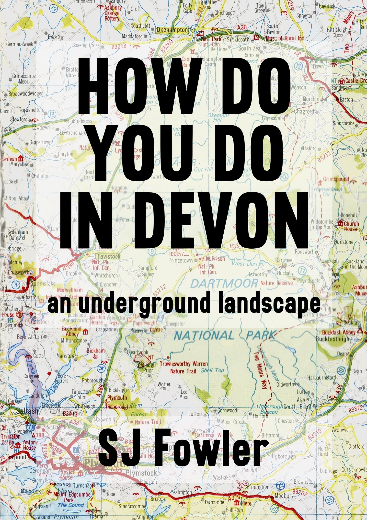 How+do+you+do+in+Devon+front+cover+small.jpg