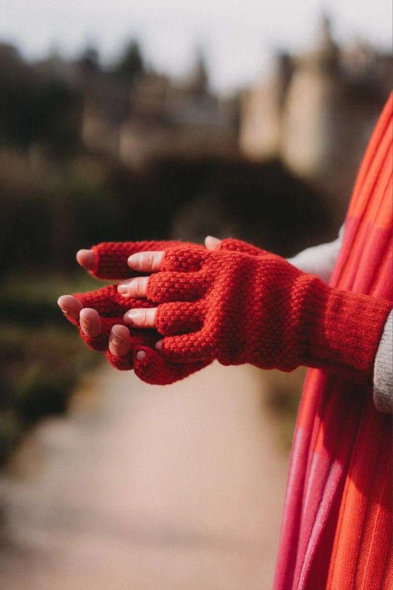 Rosehip fingerless gloves .jpg
