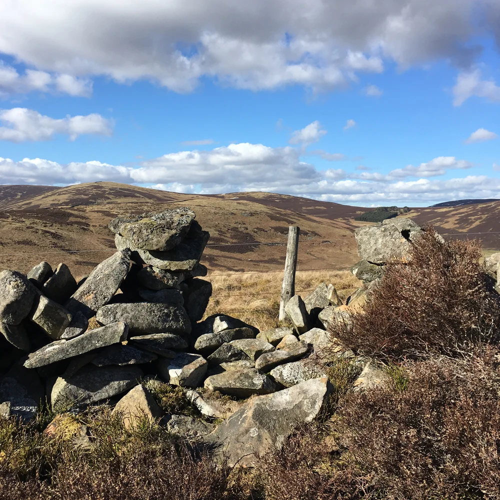 A sunny wintery hill top near Walkerburn in the Scottish Borders.