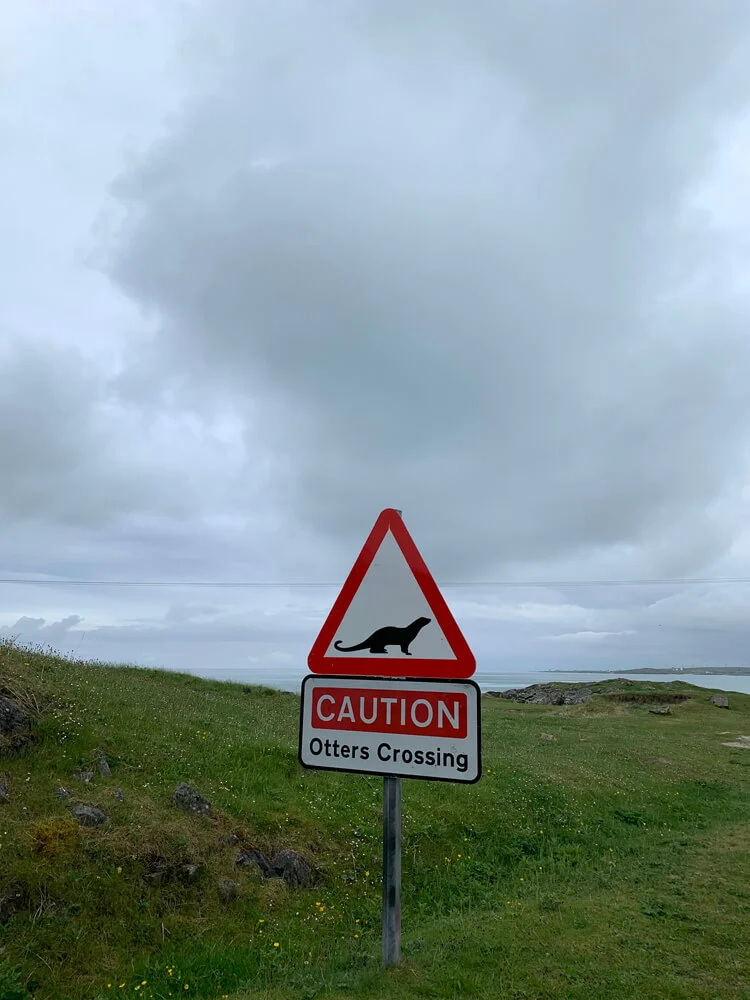 One of the best signs!