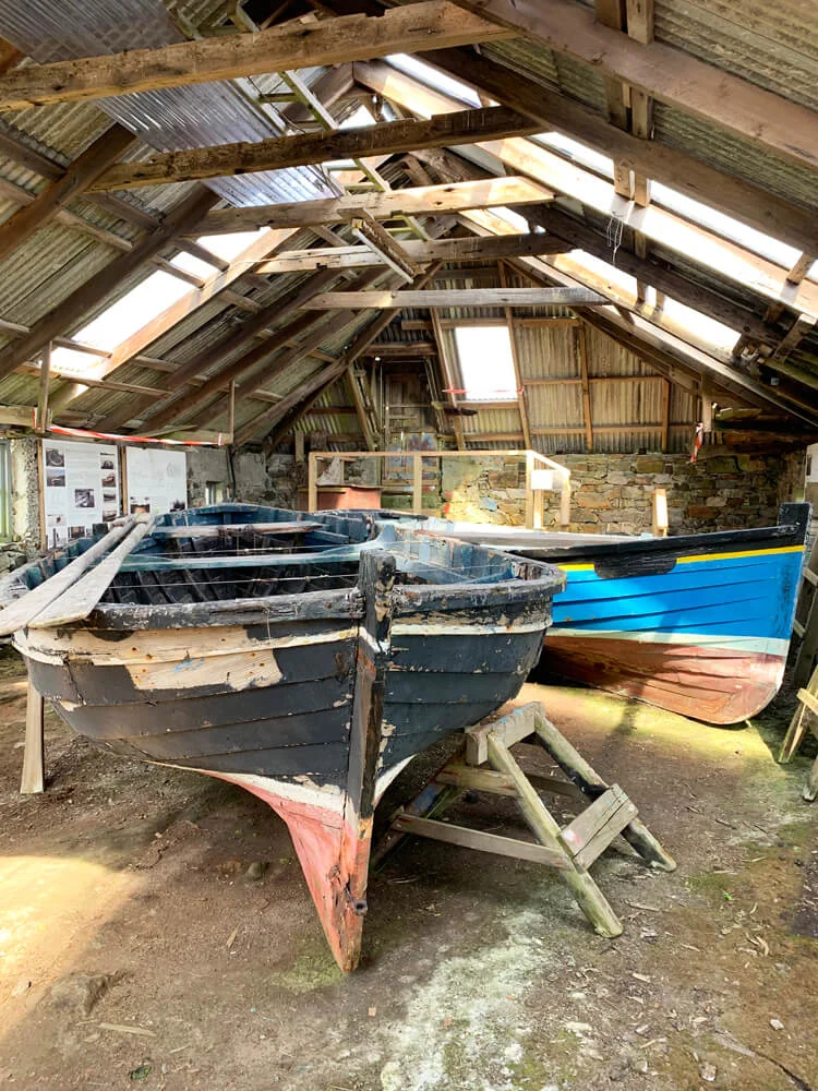 Boats.jpg