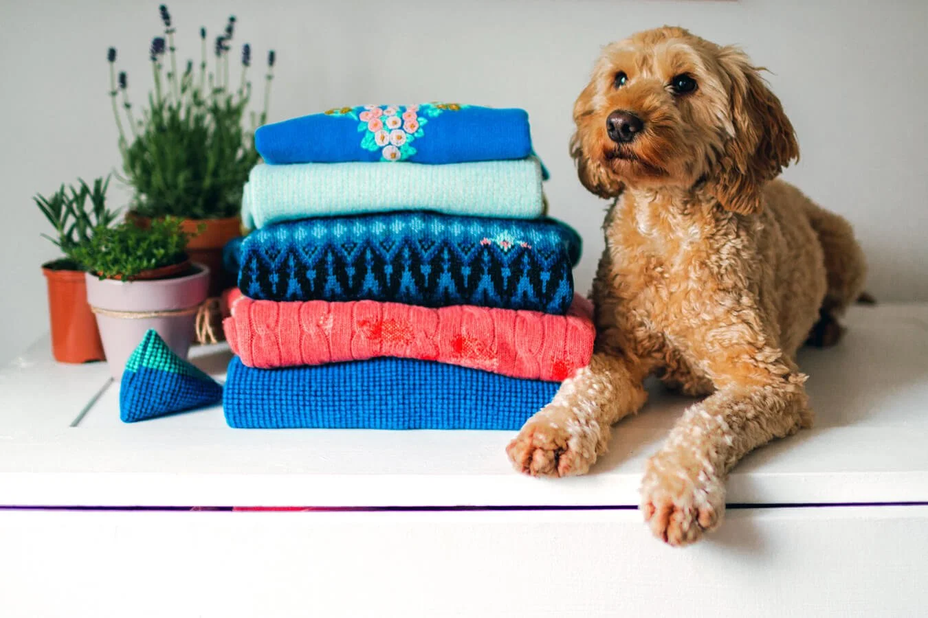 How to Care for Cashmere