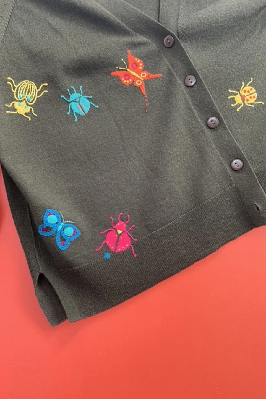 How to darn Butterflies and beetles by Collingwood-Norris.jpg