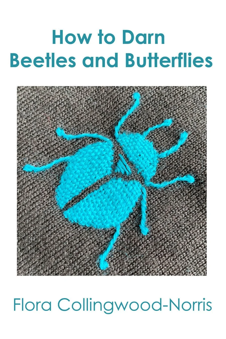 How to darn a beetle by Collingwood-Norris.jpg