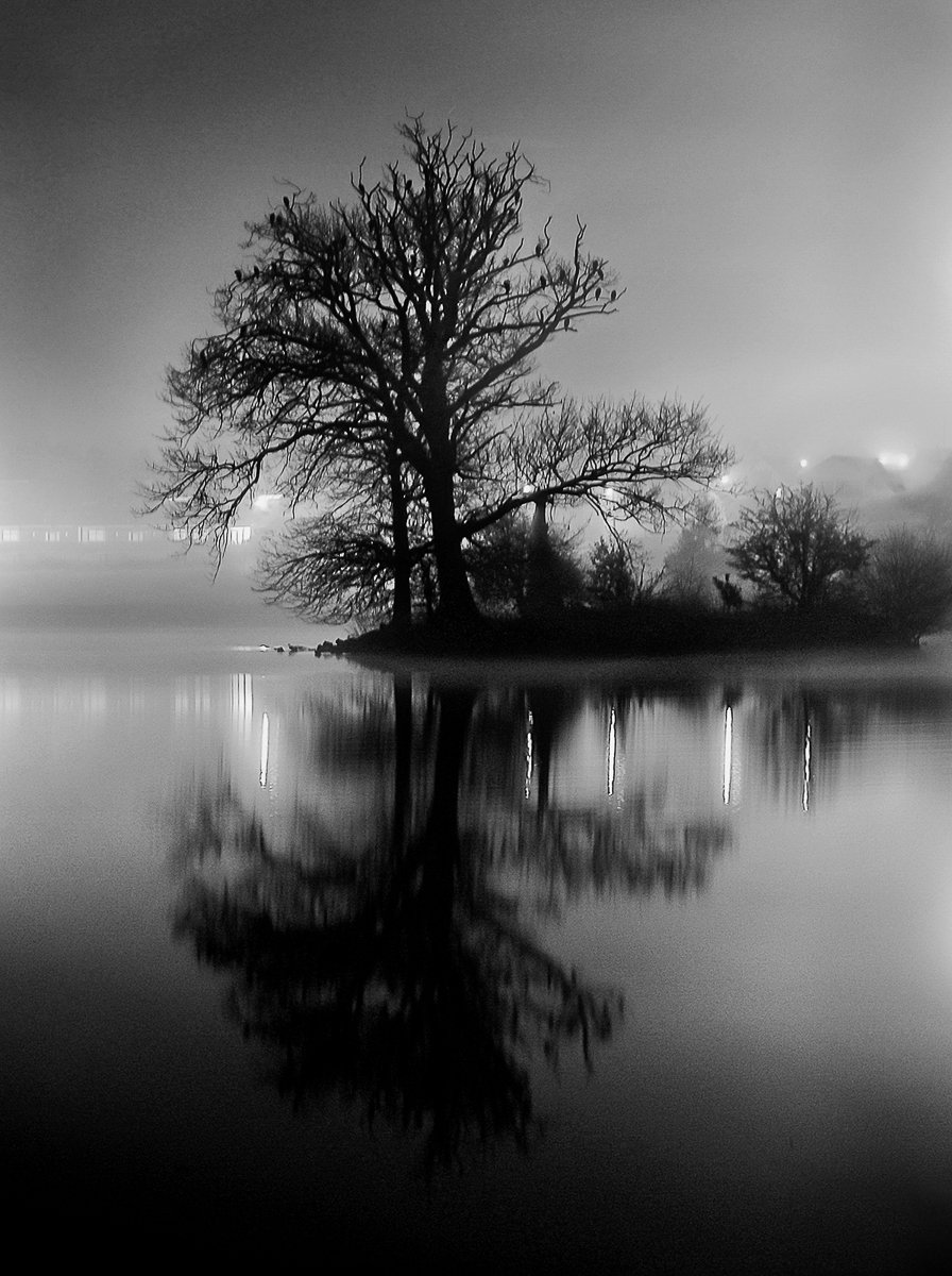 MONO.Duck.R2. Lough Reflection.EMcCausland.Adv.jpg