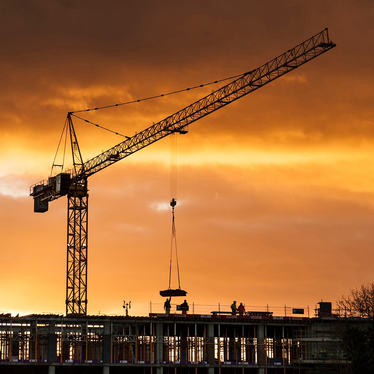 NIPA_R4_Crane at sunset_Malachy Coney_Advanced_ Colour..jpg