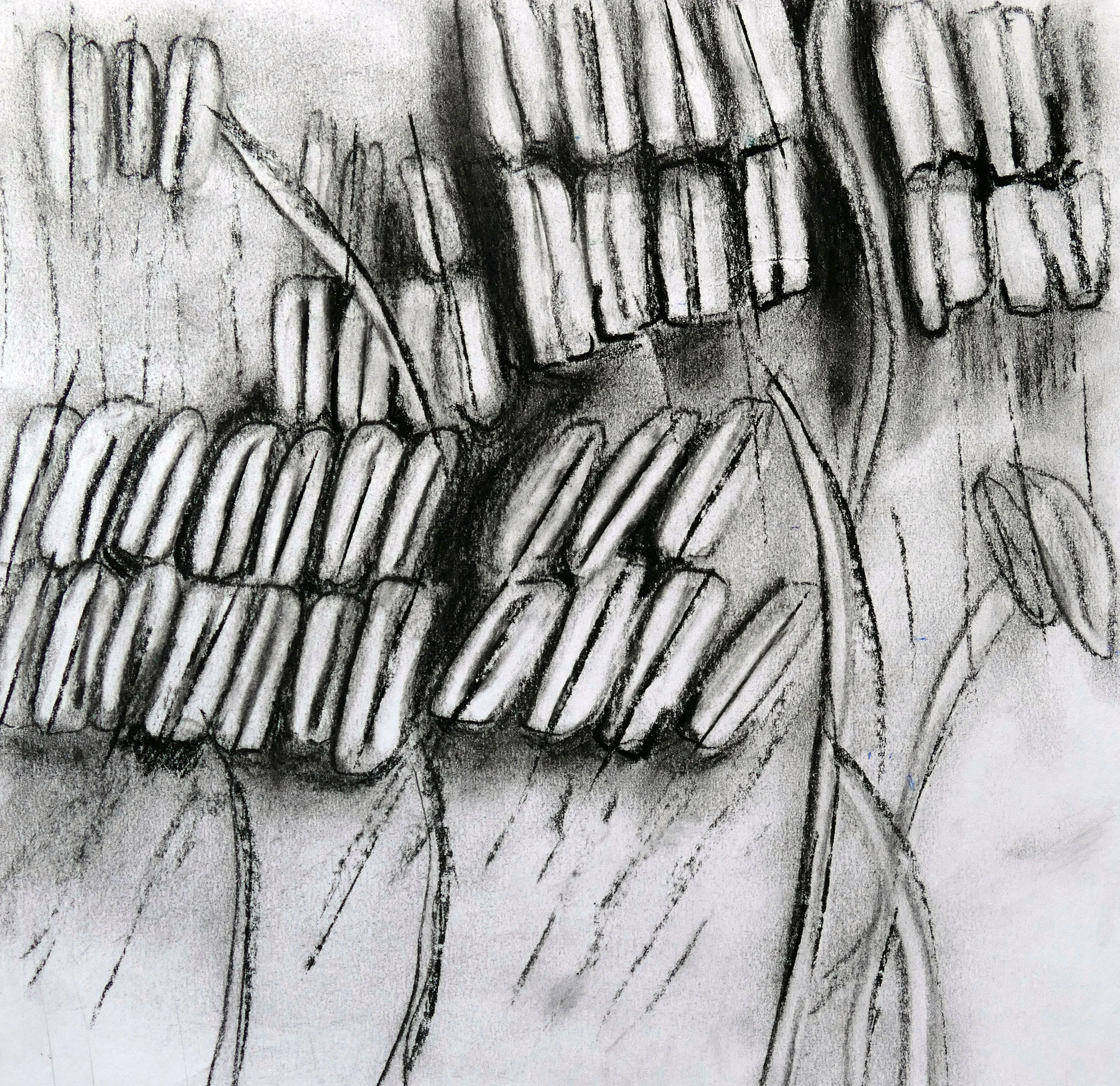 F.Rainford The Remains #1.JPG