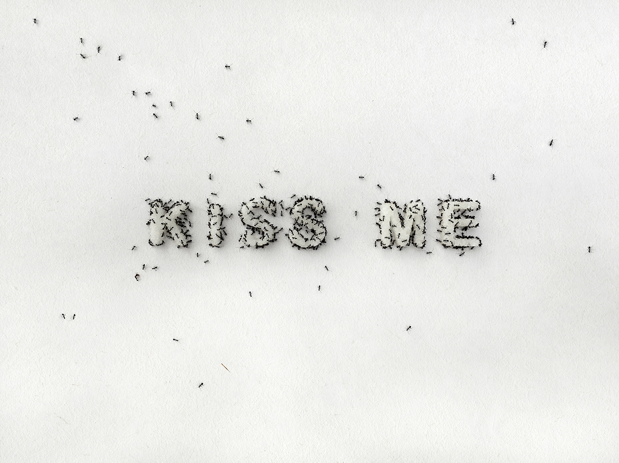  Christine Kettaneh,  KISS ME , 2016, ed.1/4, photograph on cold press bright paper, 24X32 cm. 
