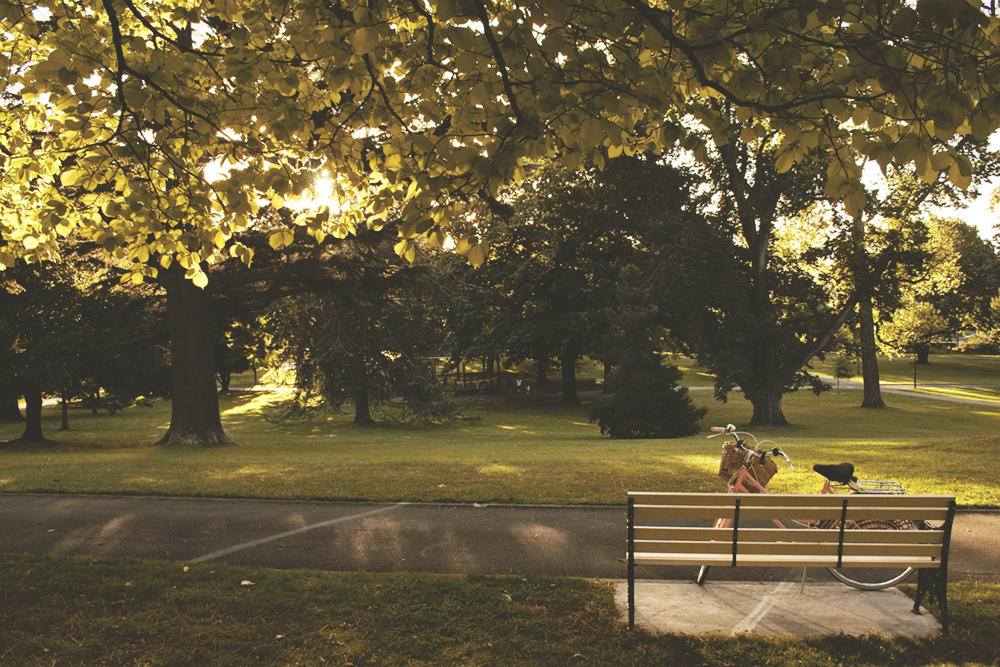 (A photo from way back when I did a post about my favourite places to sit in Launceston)