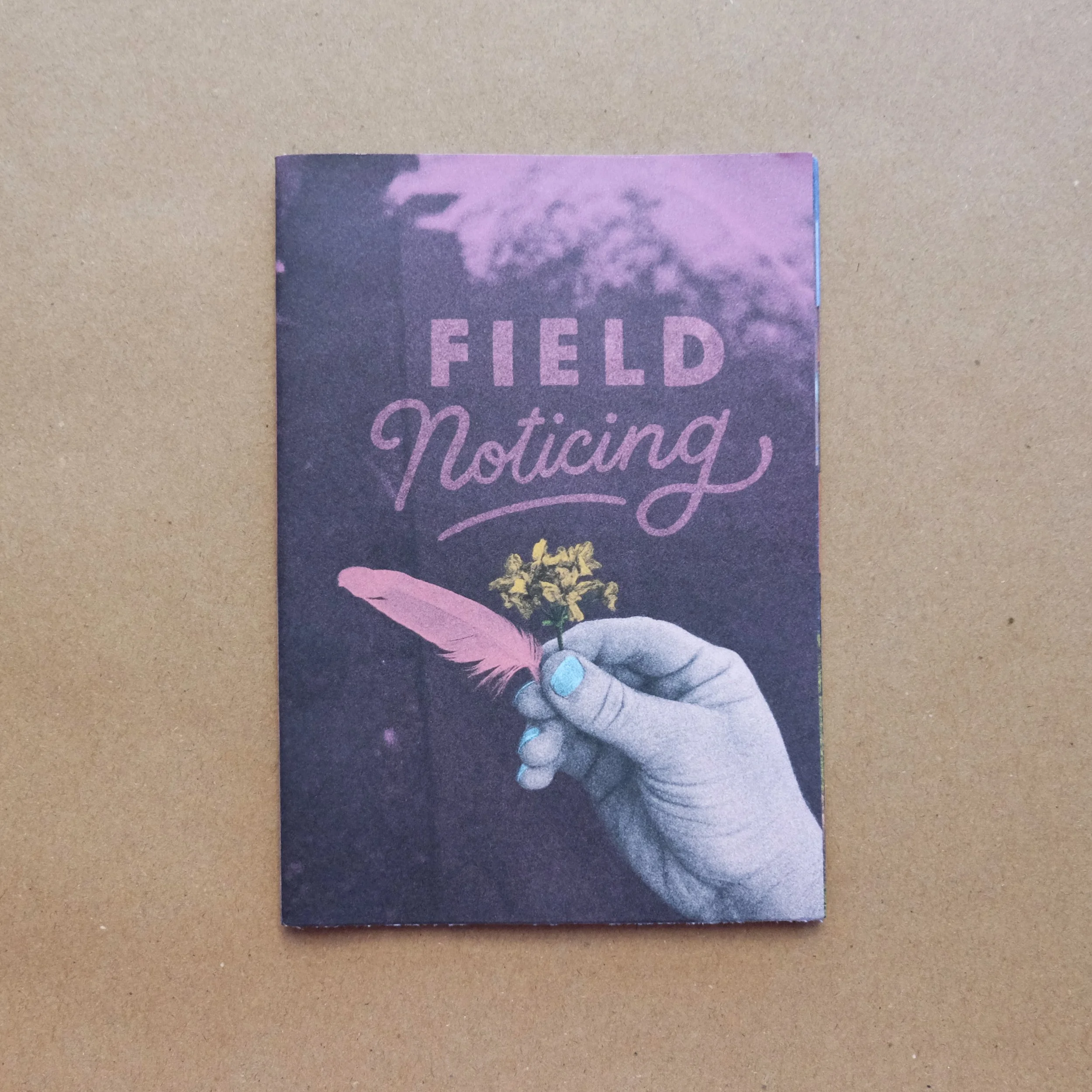 FieldNoticing.jpg
