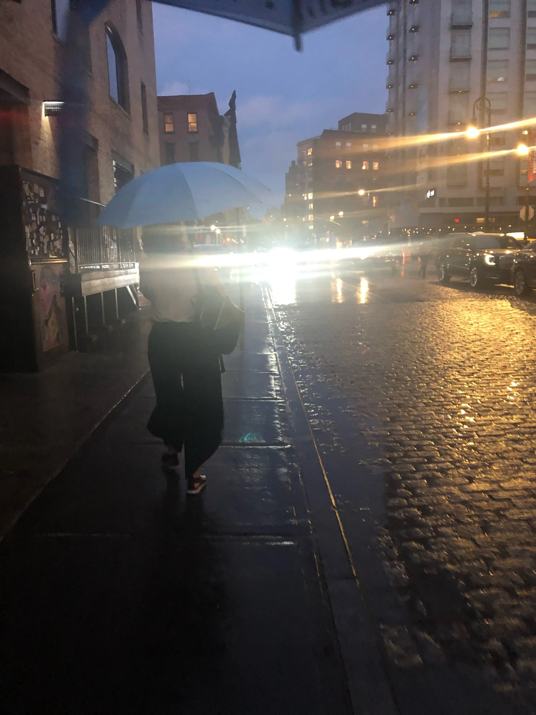  Did I mention the downpour and bumble imnrella 