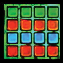 WXWorkCapture_15701210319249.png
