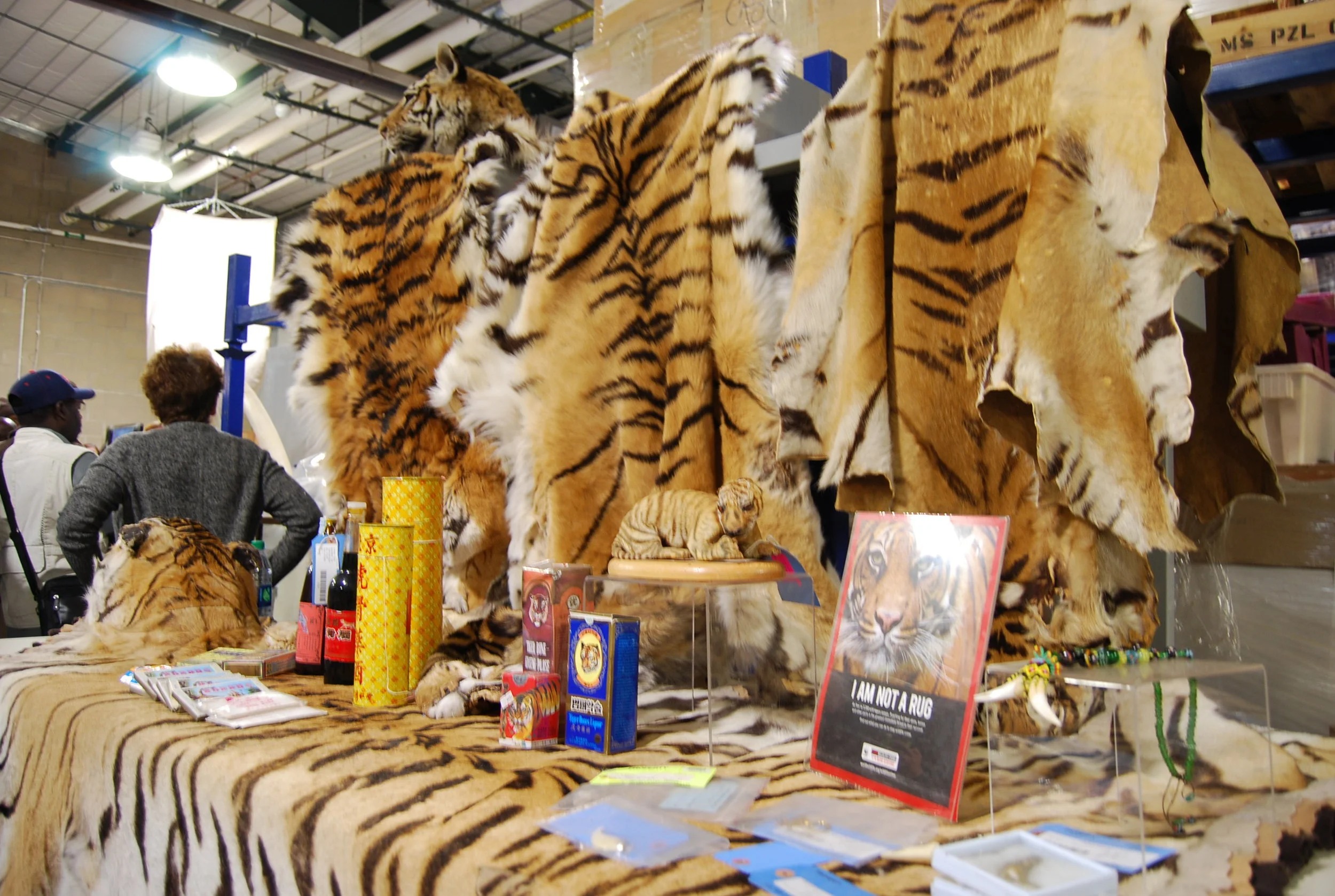 Horrors of wildlife trafficking on display at Repository