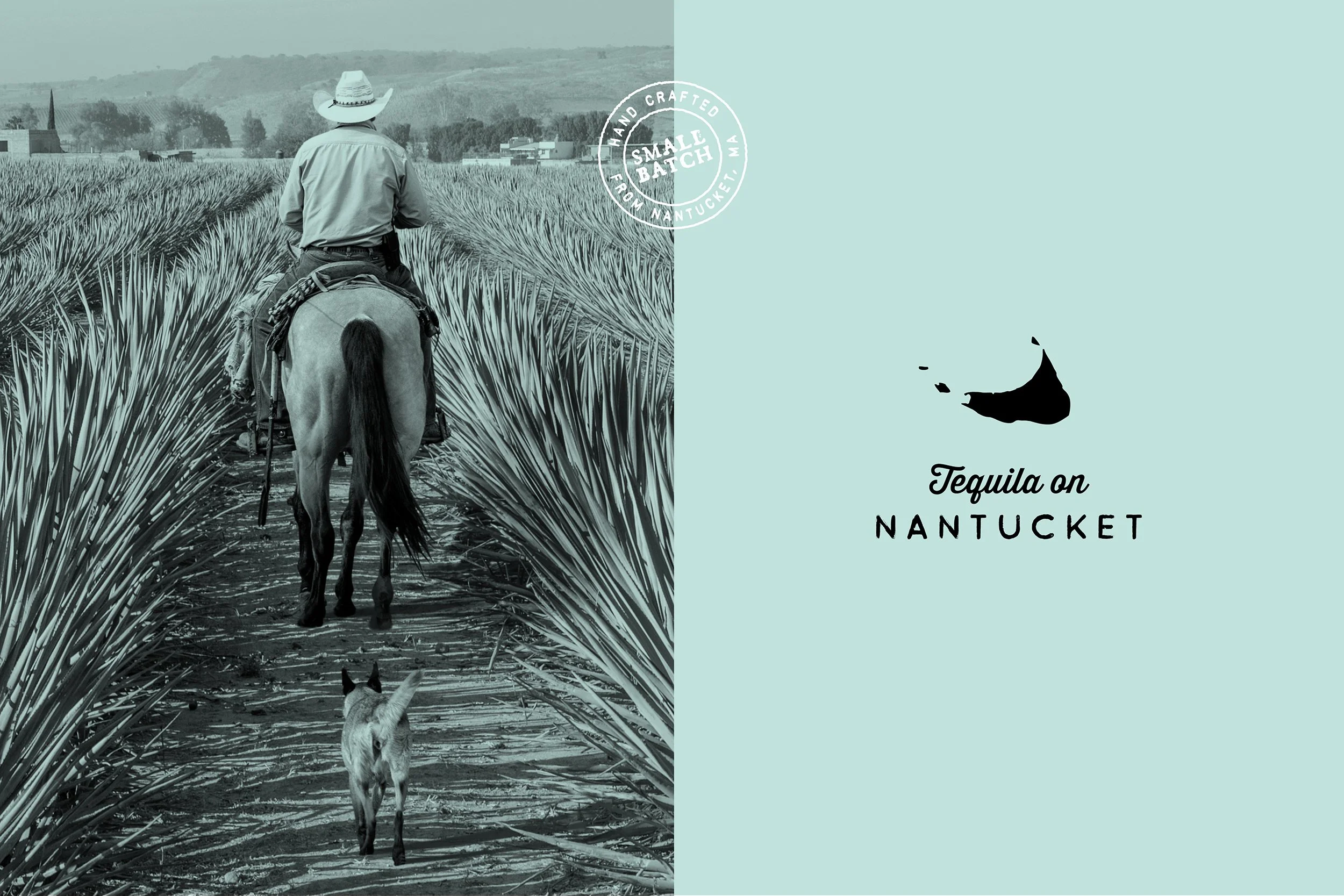 LANGOSTA LAYOUTS FOR WEBSITE2.jpg