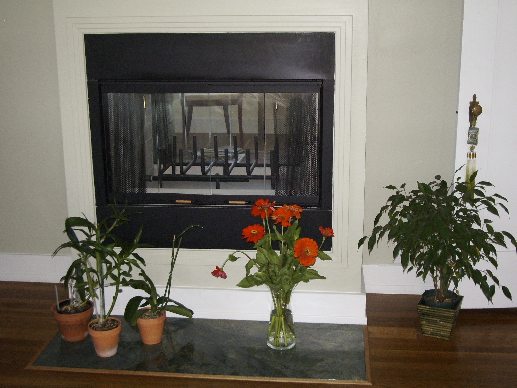  A two-sided fireplace can be viewed from dining area and master bedroom. 