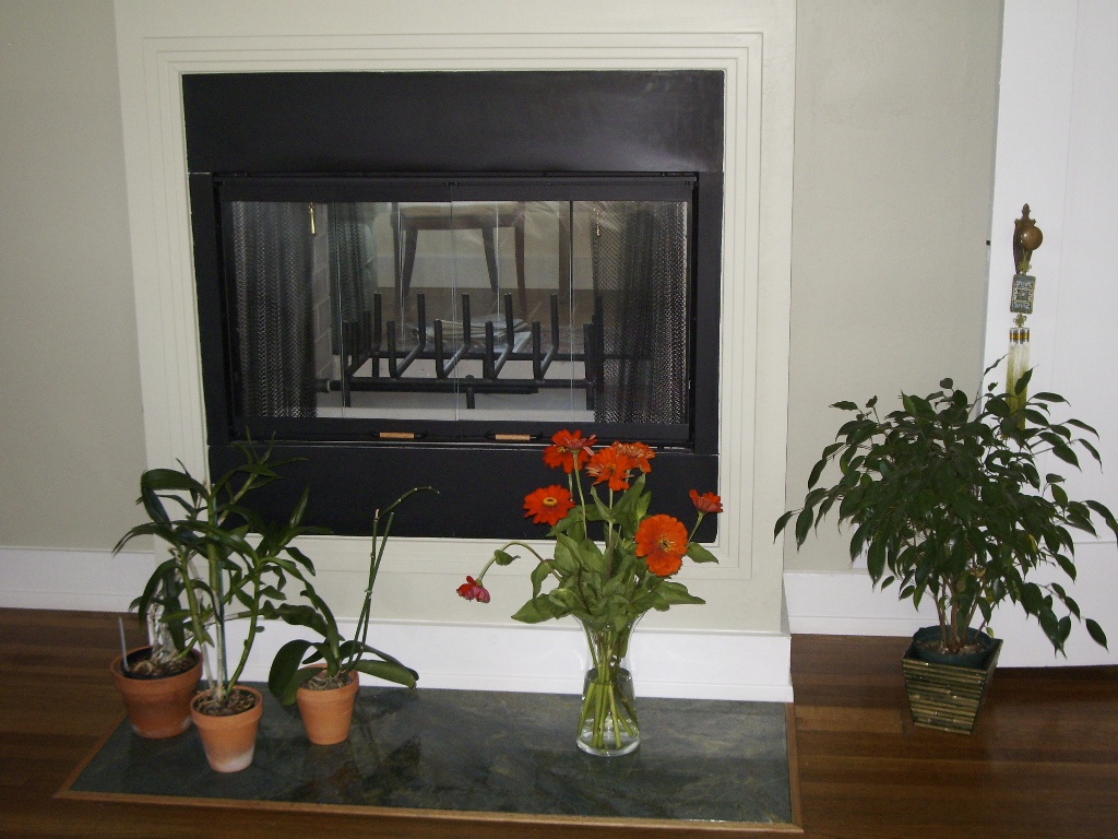 A two-sided fireplace can be viewed from dining area and master bedroom.