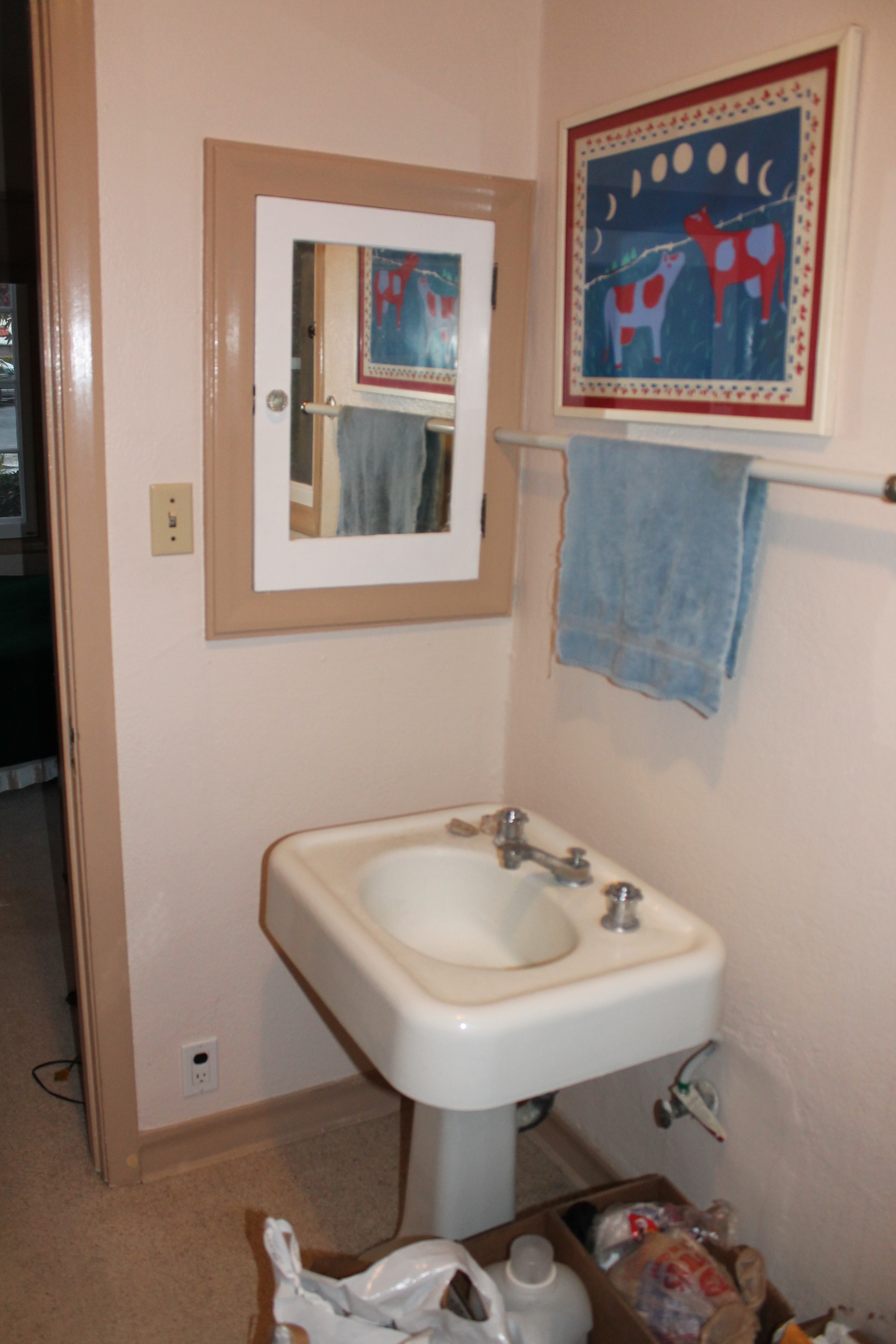  Before: Old pedestal sink,&nbsp;carpeted floors. 