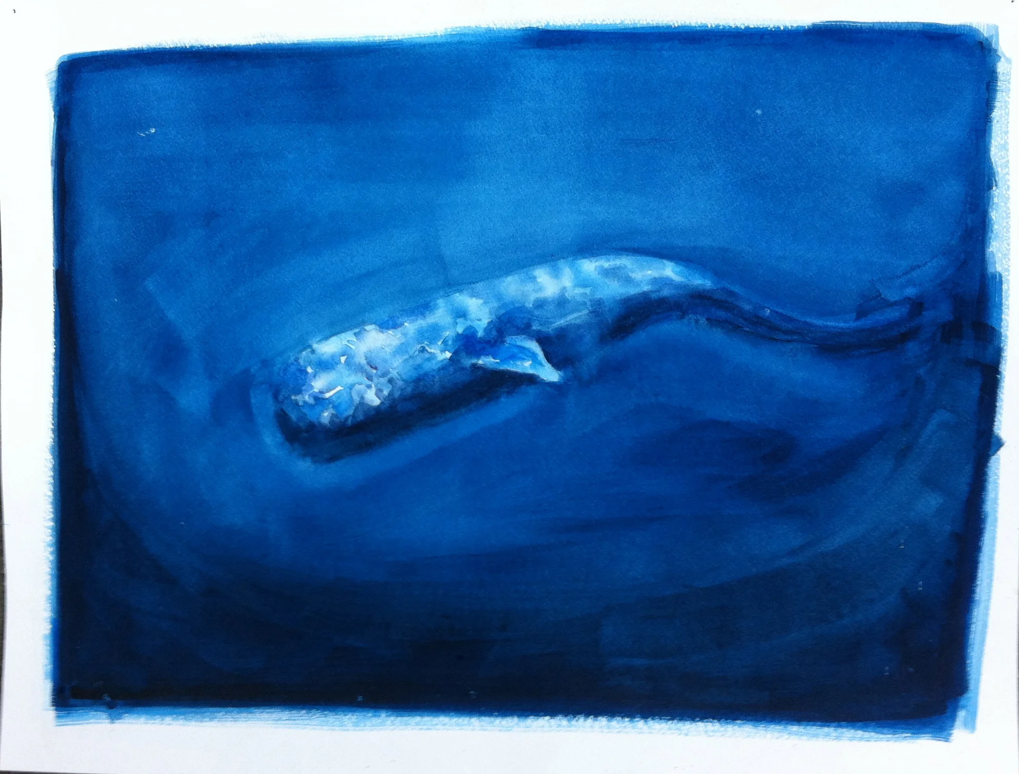 Whale 1