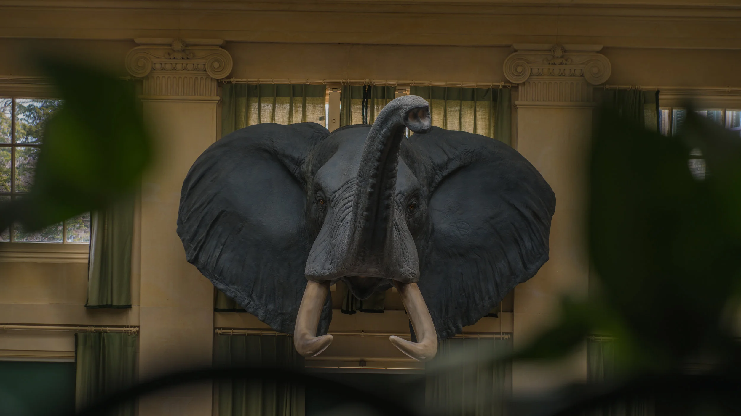 room-elephant.jpg