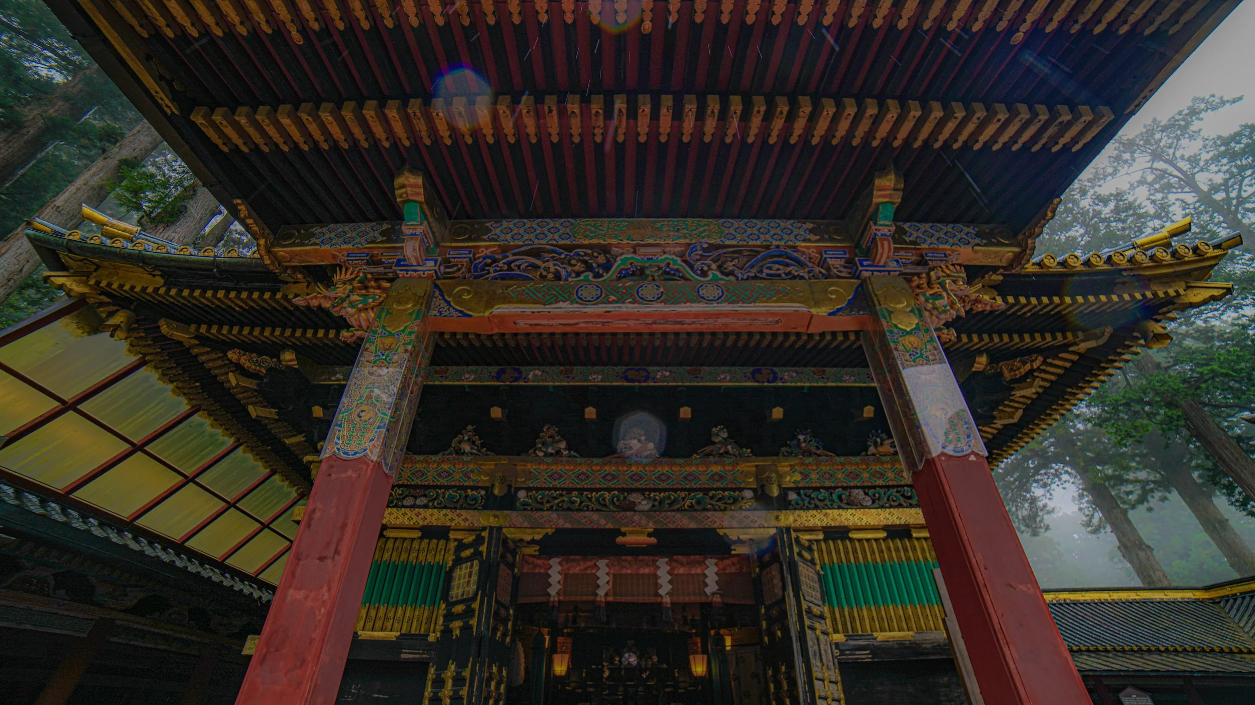 DSC08520.jpg