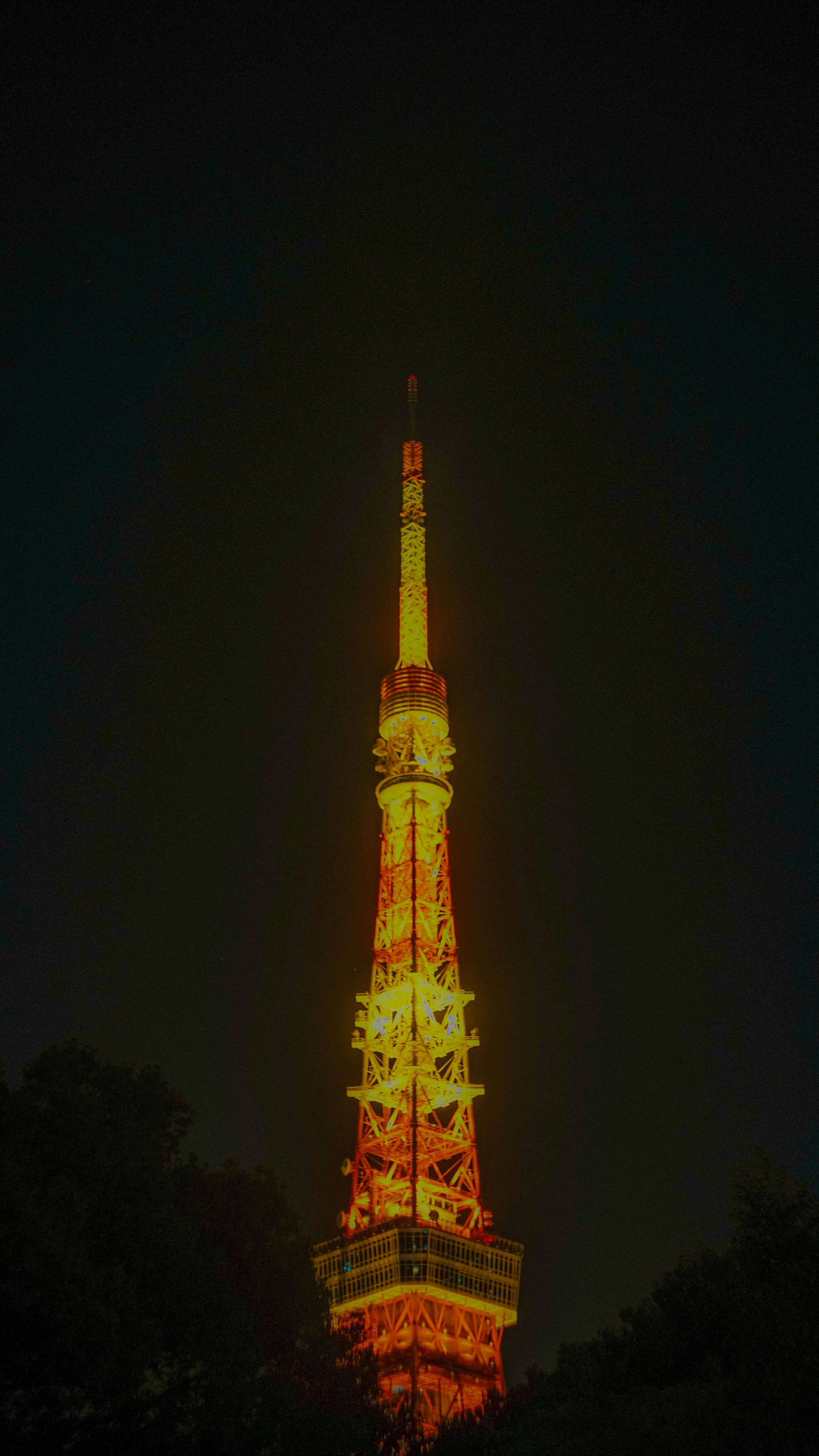 DSC09258.jpg