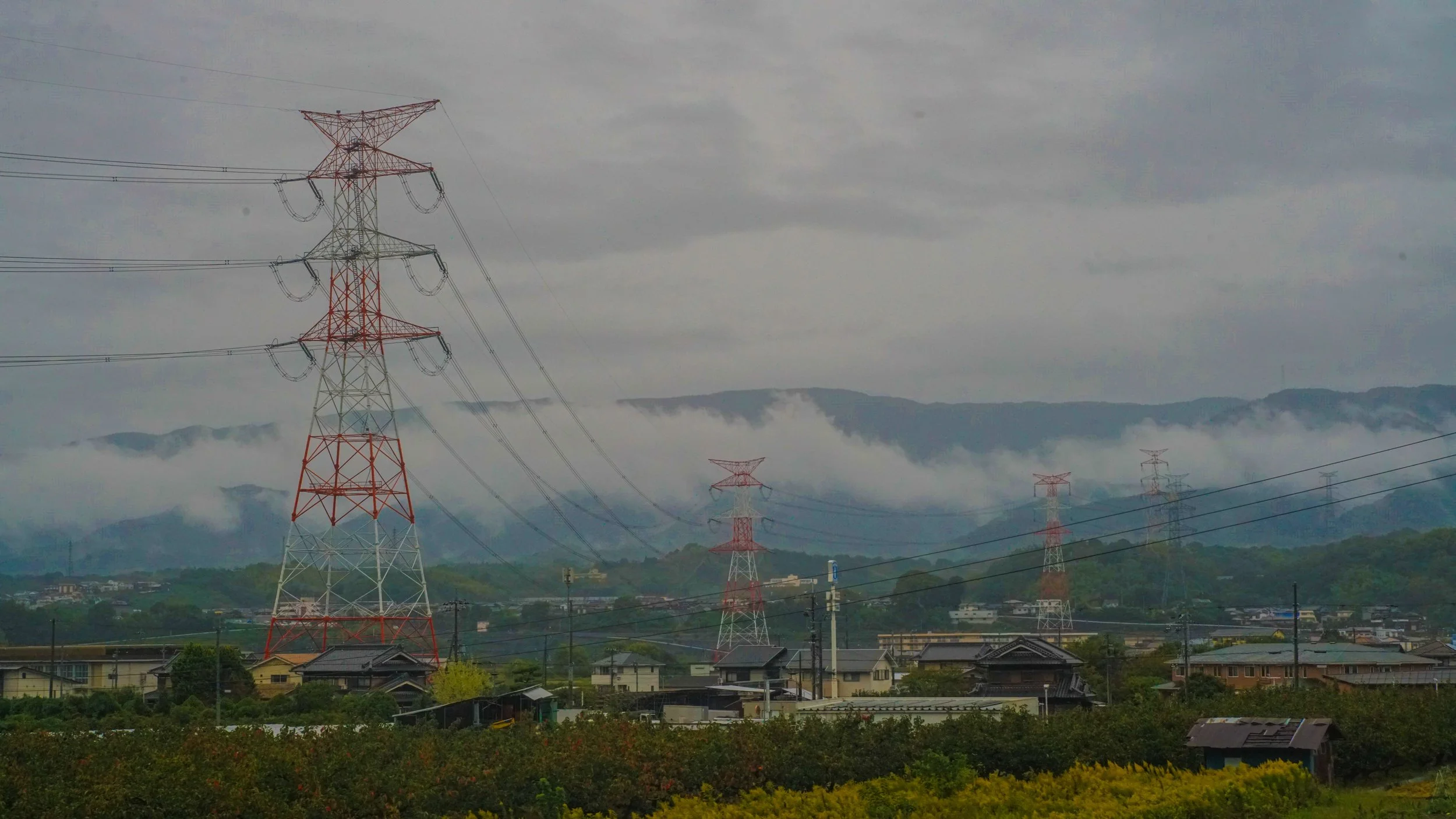 DSC09012.jpg