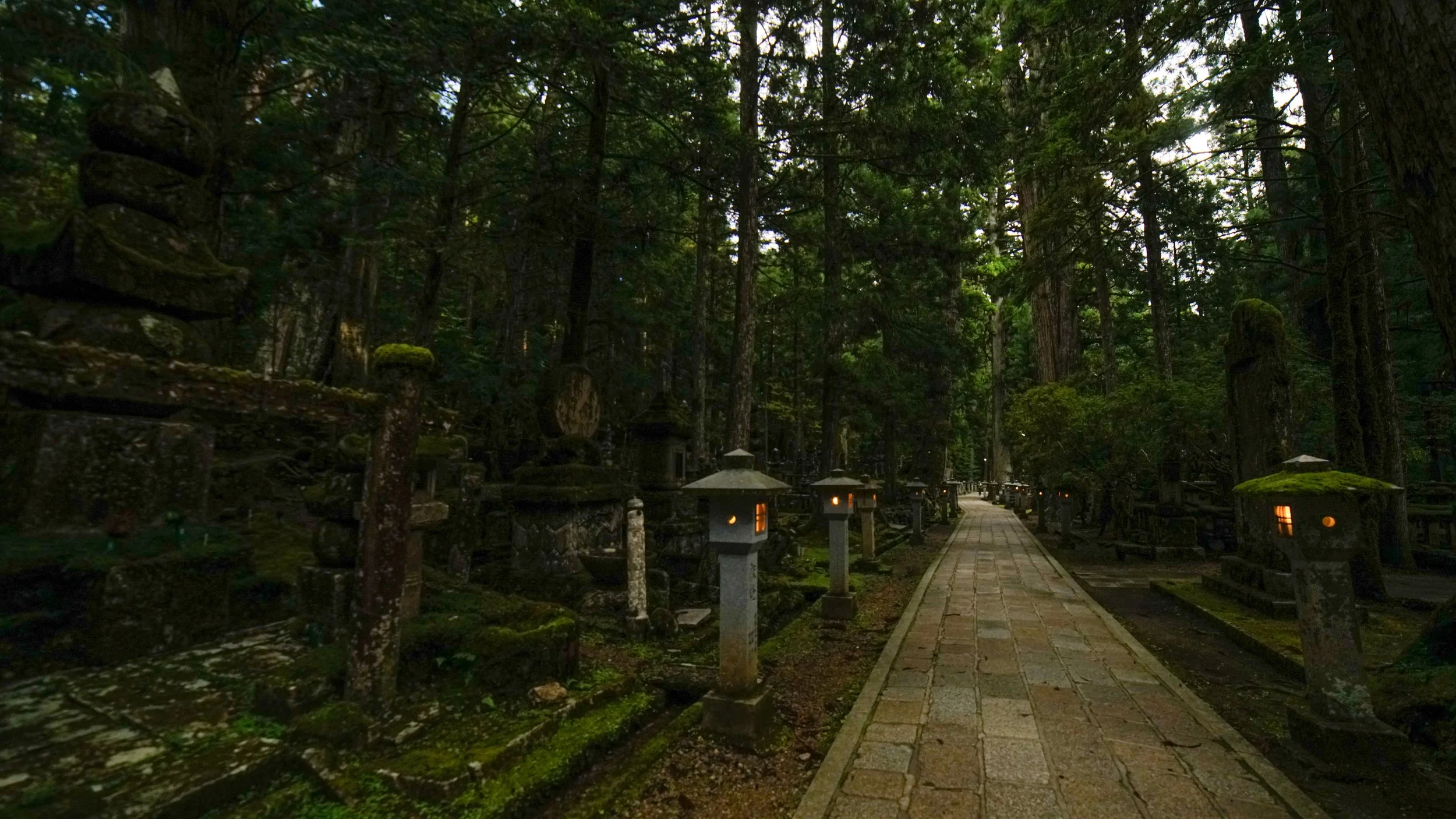 DSC09020.jpg