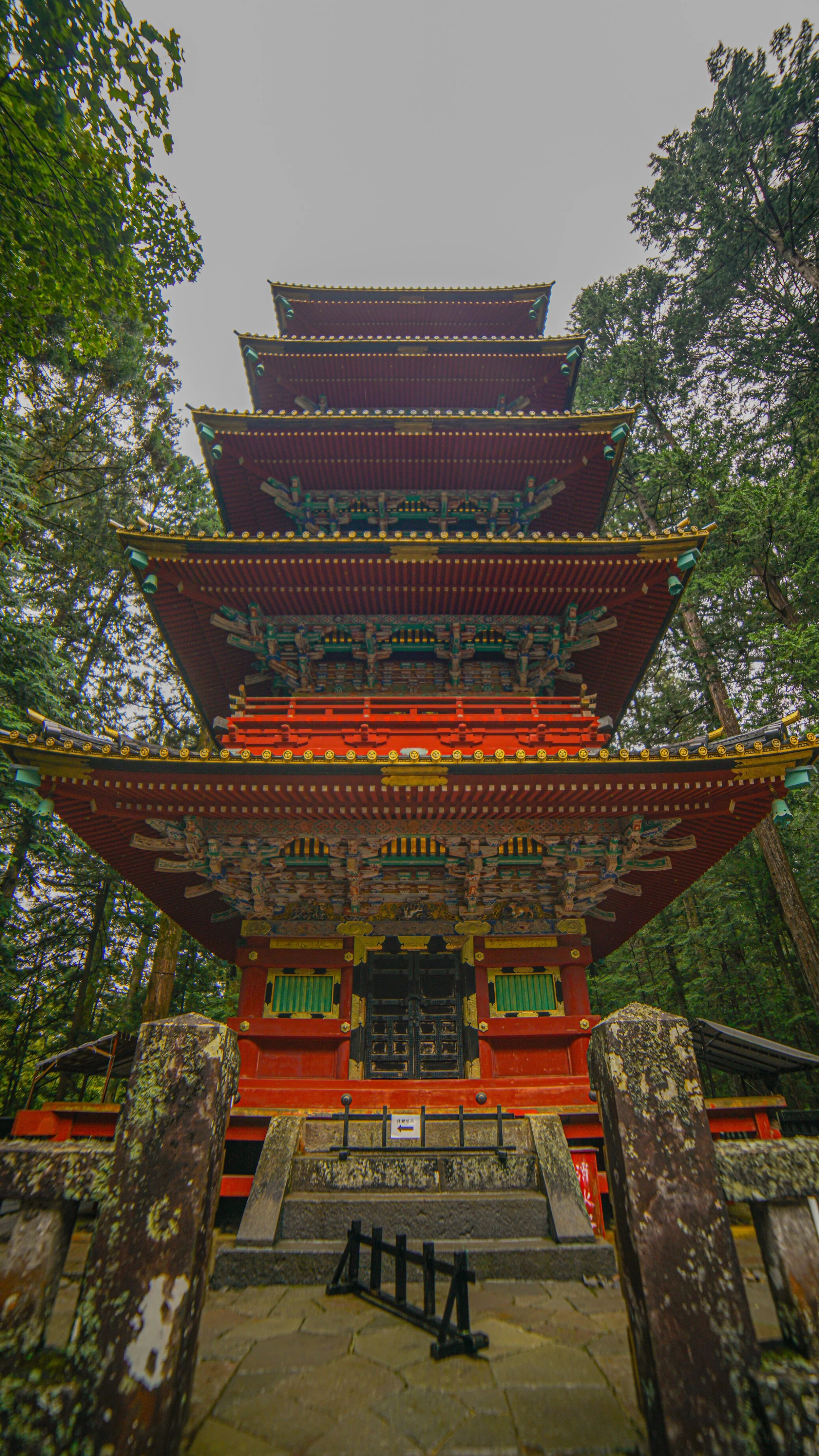 DSC08542.jpg