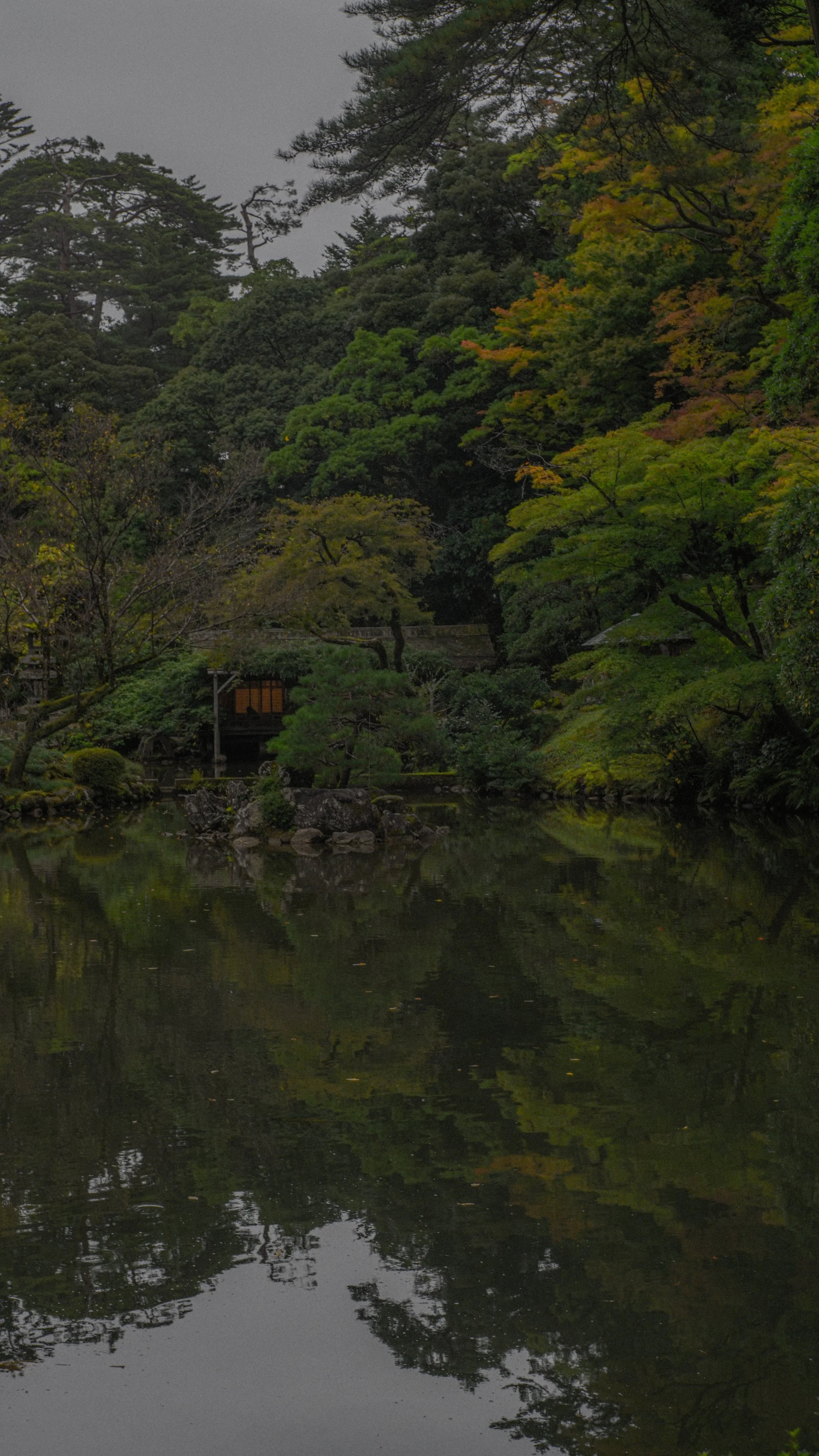 DSC08646.jpg