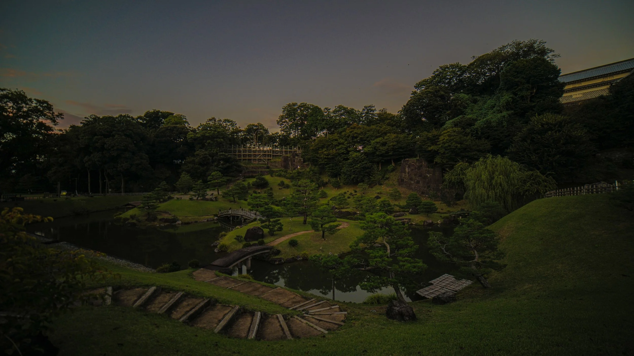 DSC08590.jpg