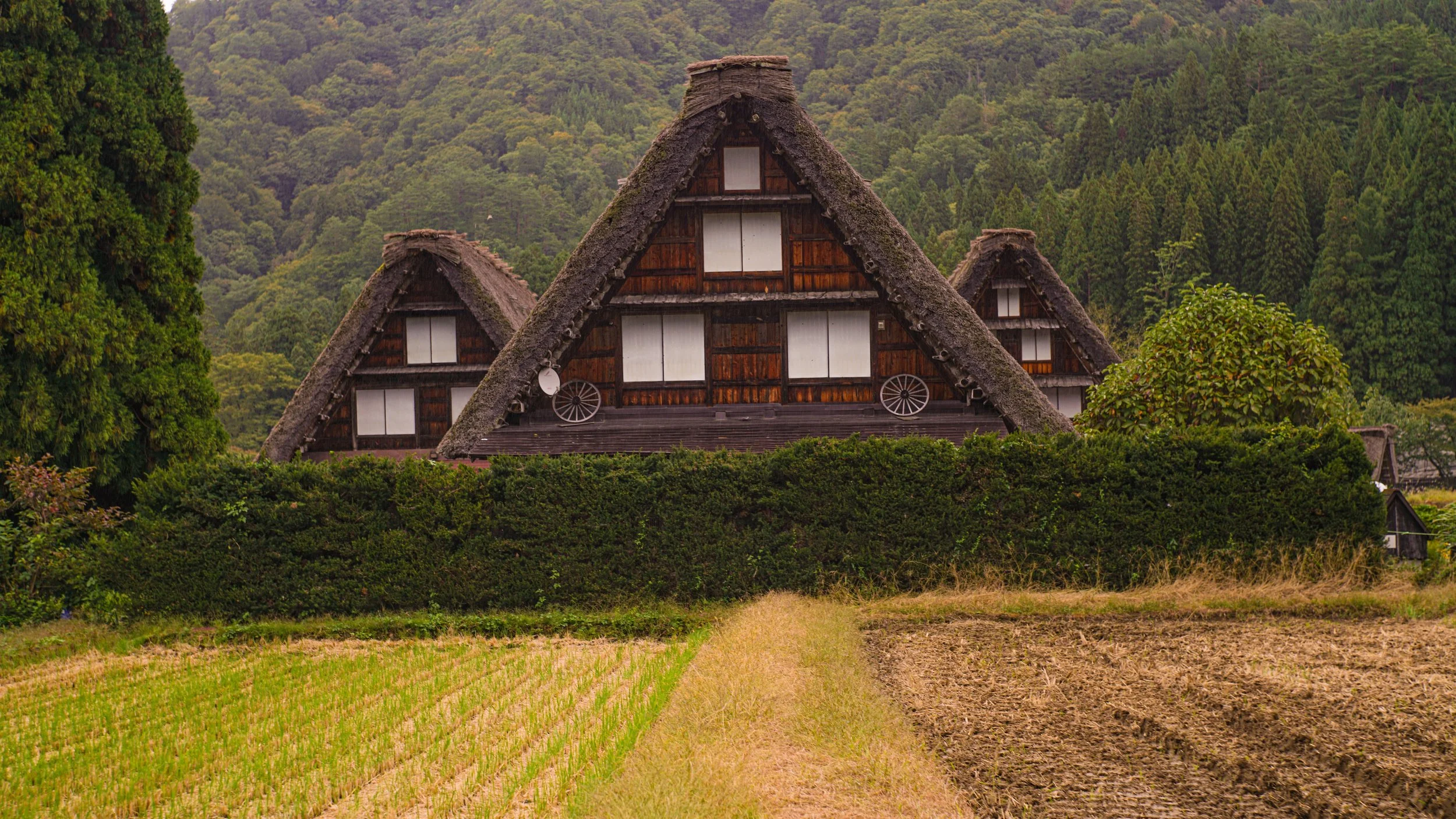 DSC08718.jpg