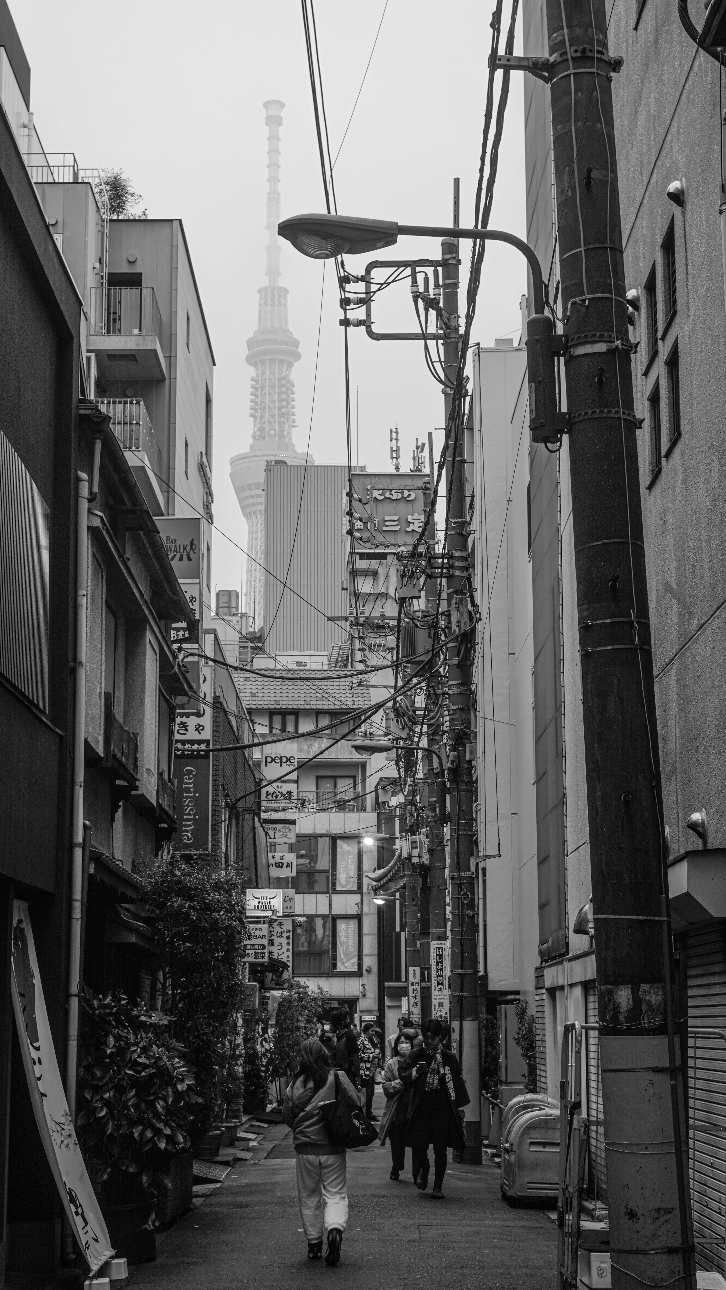 DSC09218.jpg