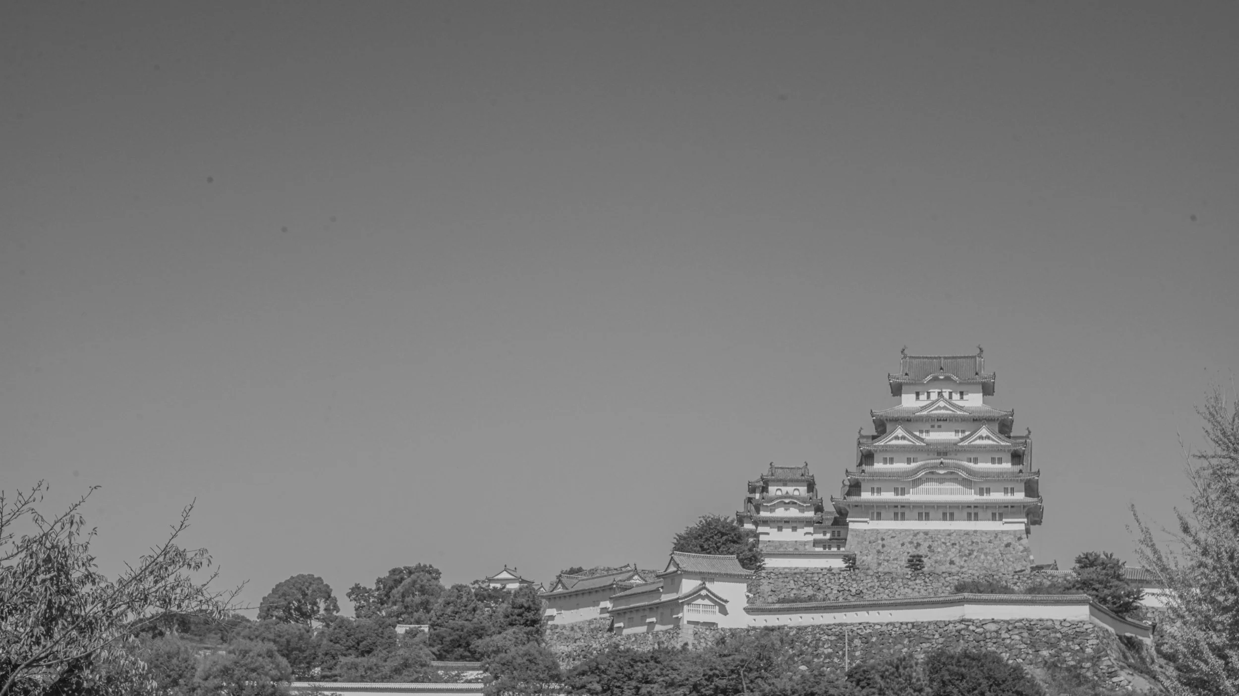 DSC09103.jpg