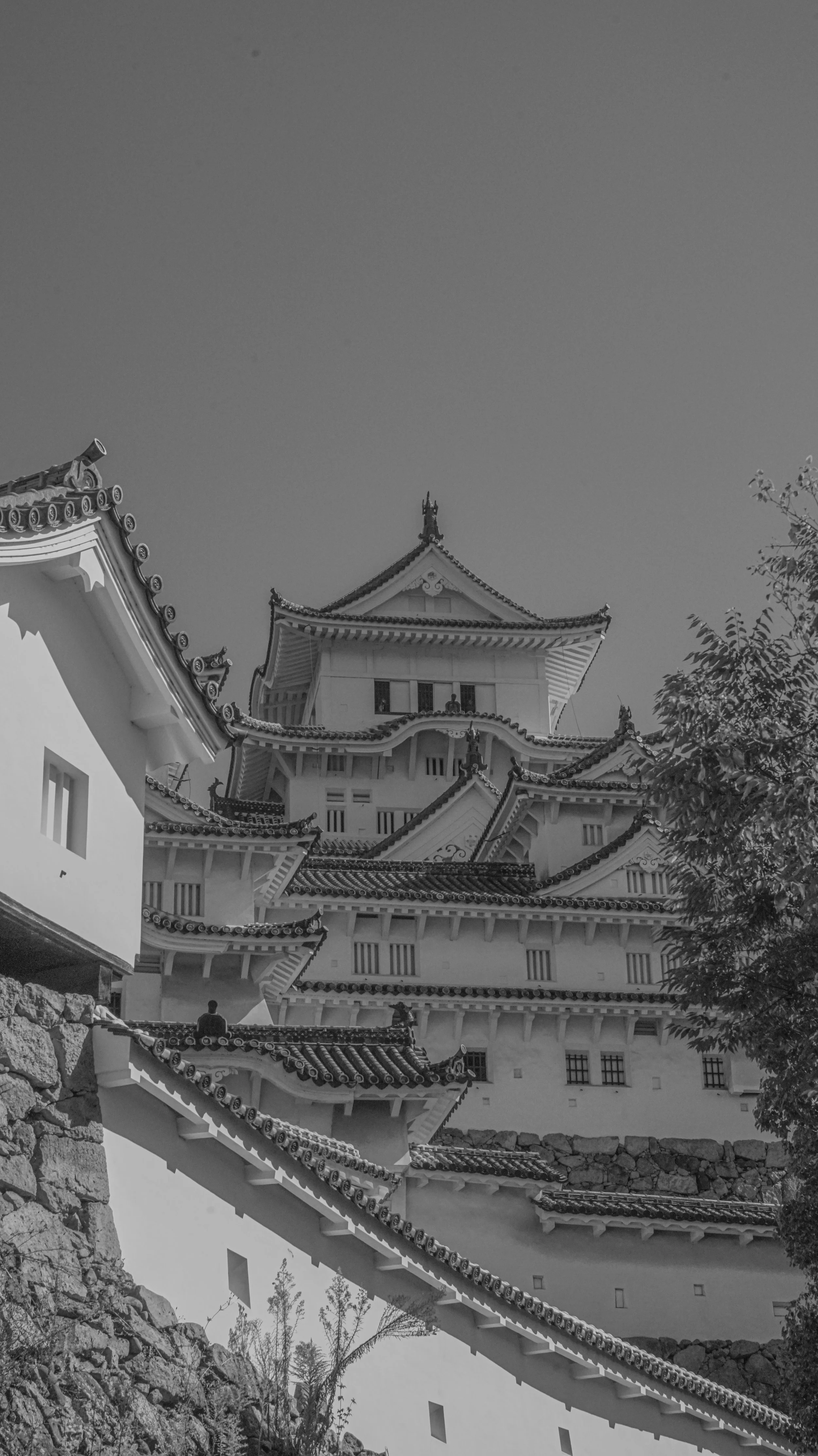 DSC09109.jpg