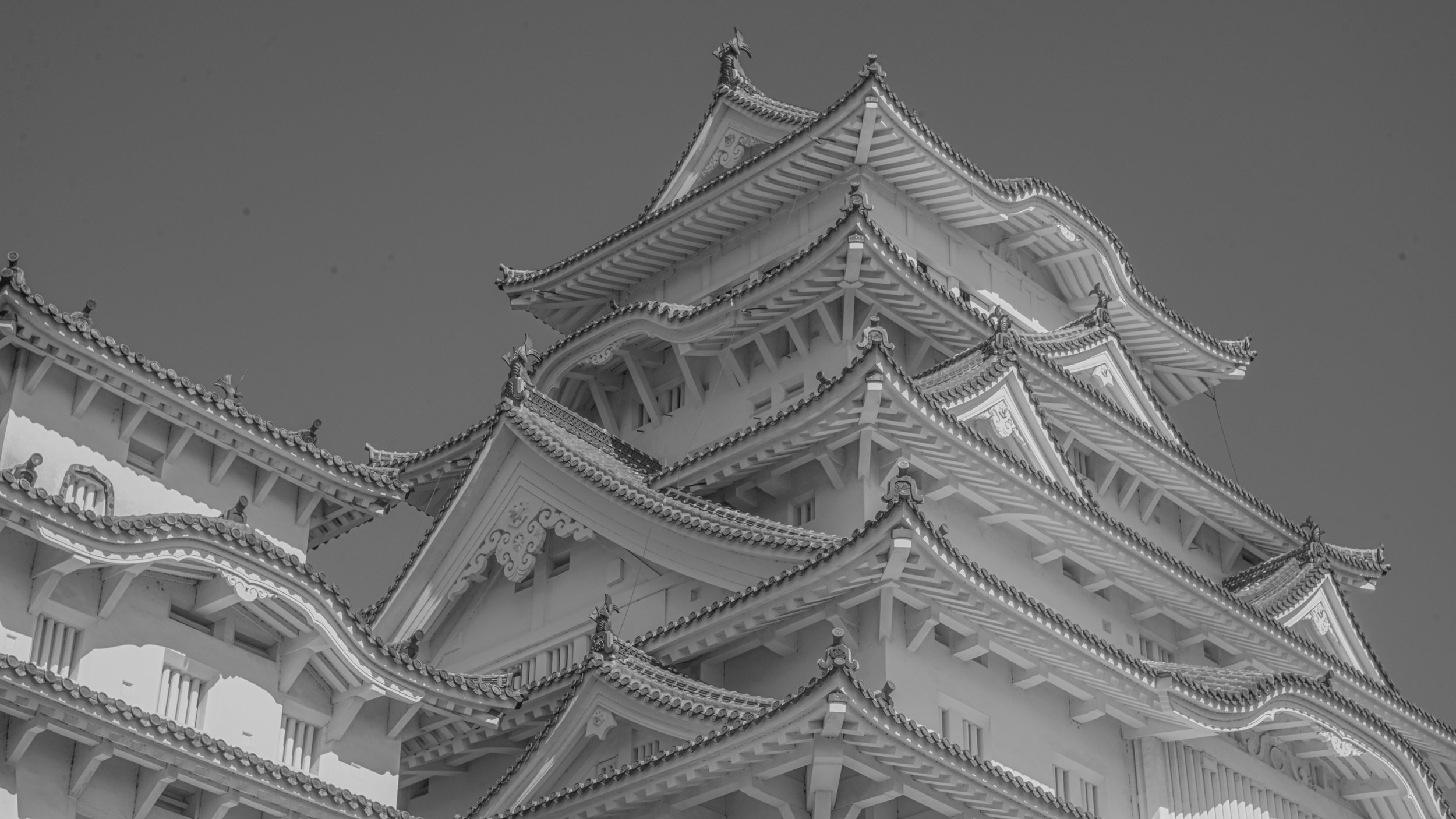 DSC09124.jpg