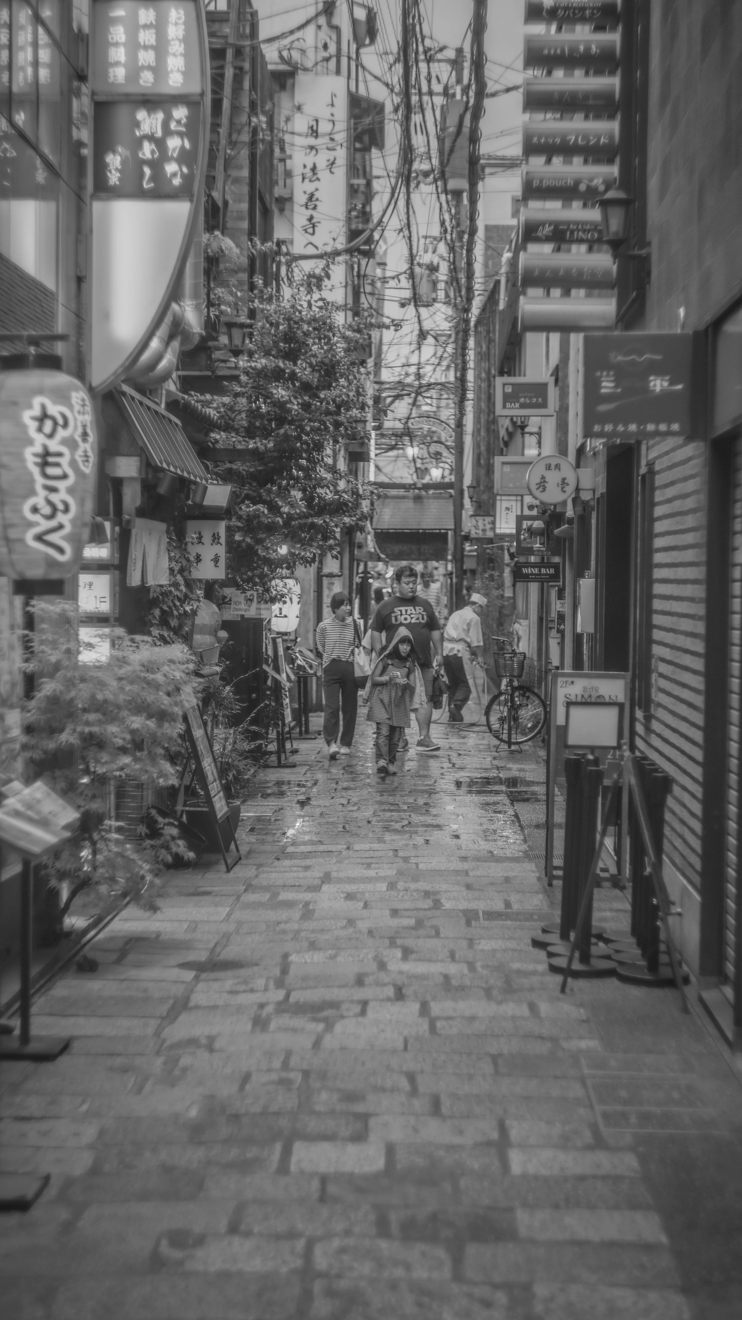 DSC09135.jpg