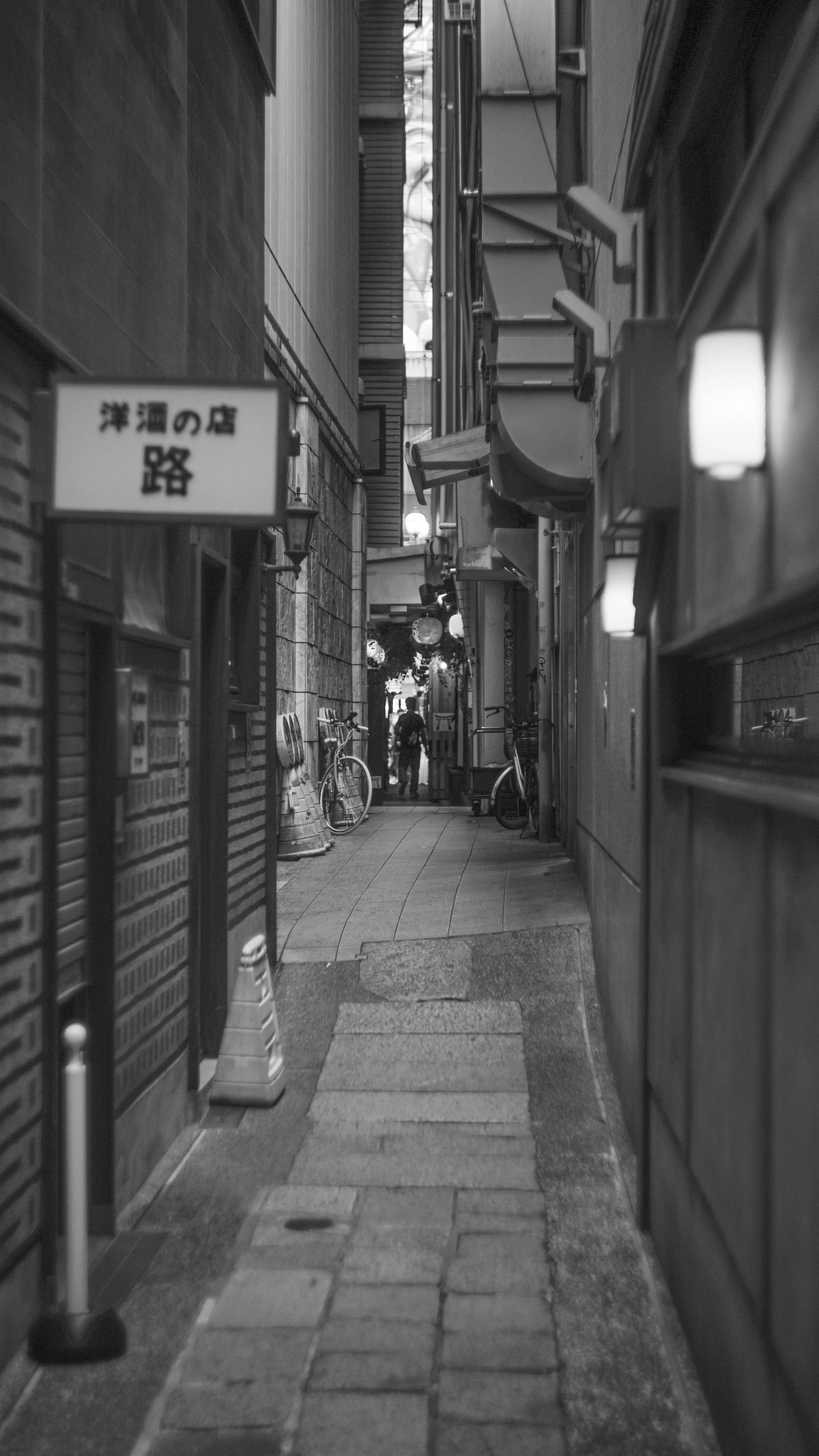DSC09134.jpg