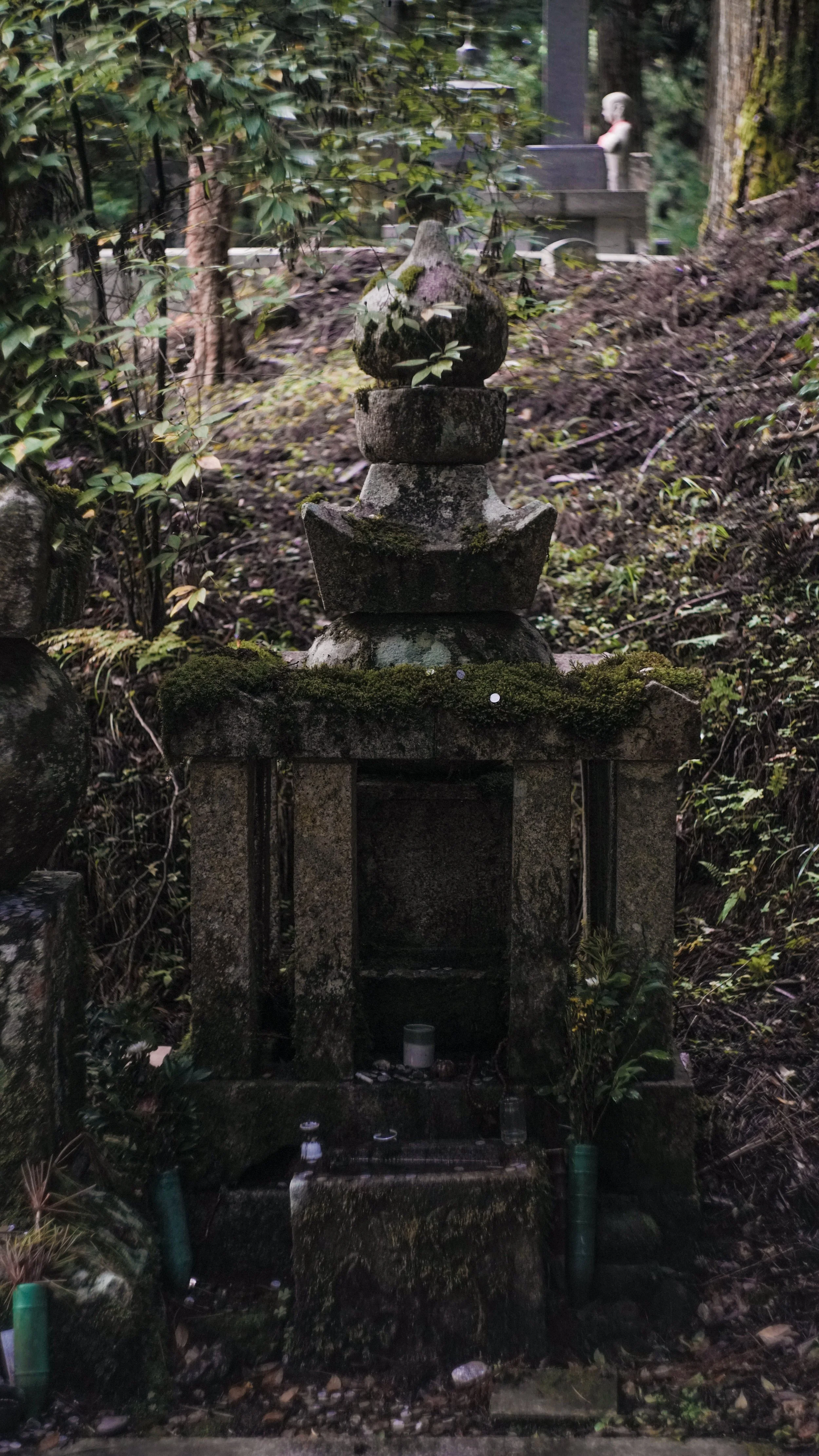 DSC09031.jpg