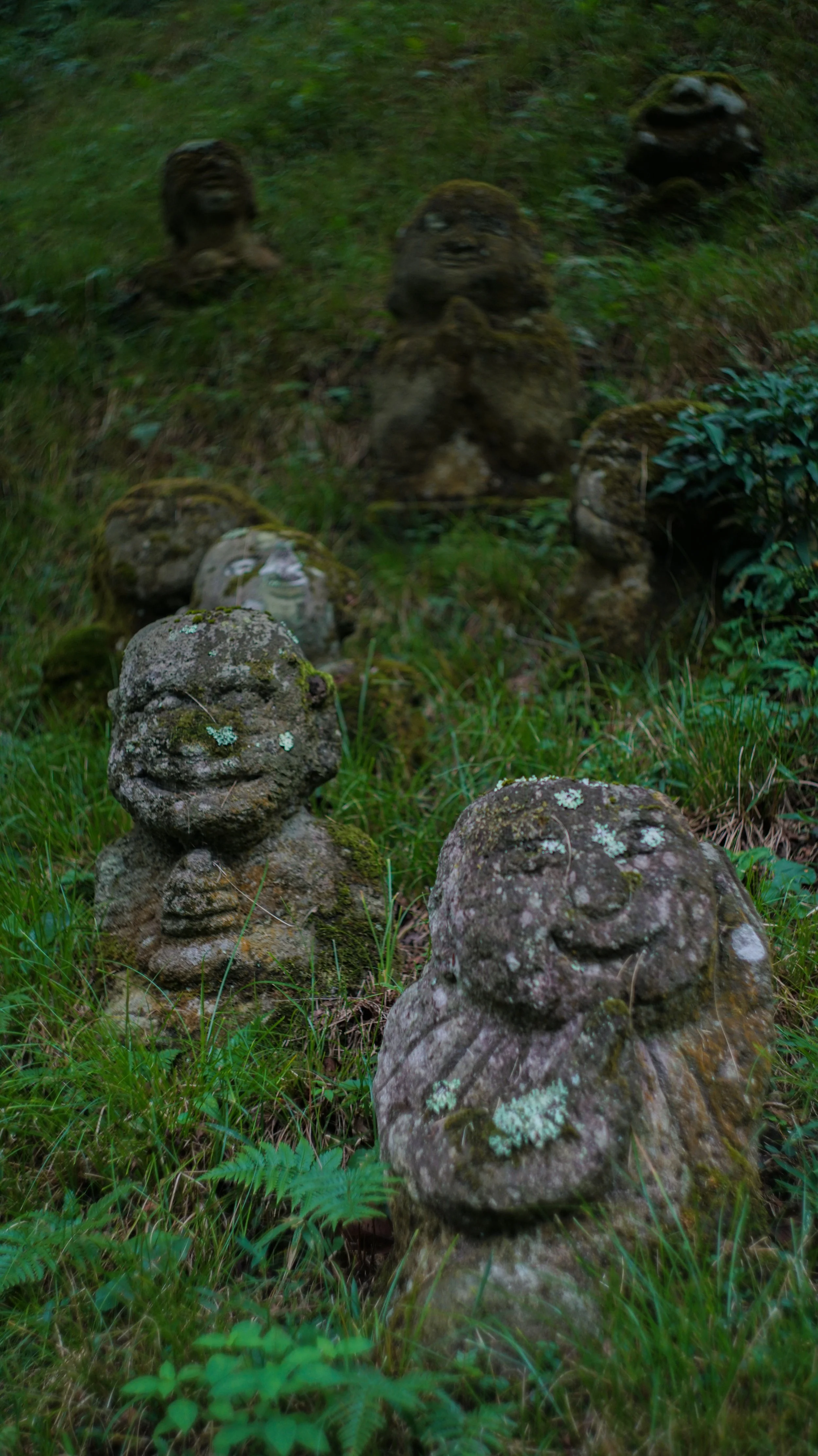 DSC08895.jpg