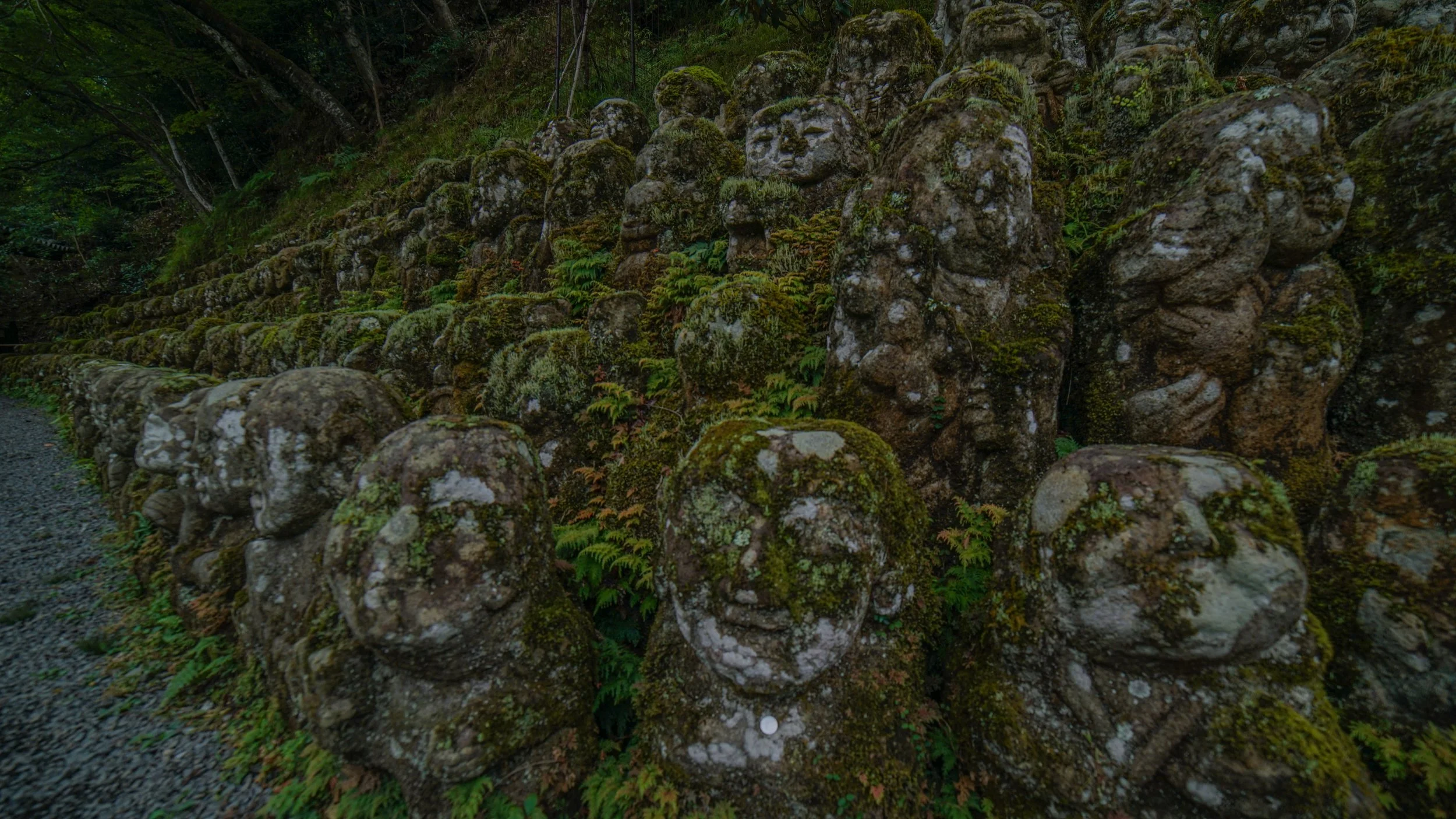 DSC08900.jpg