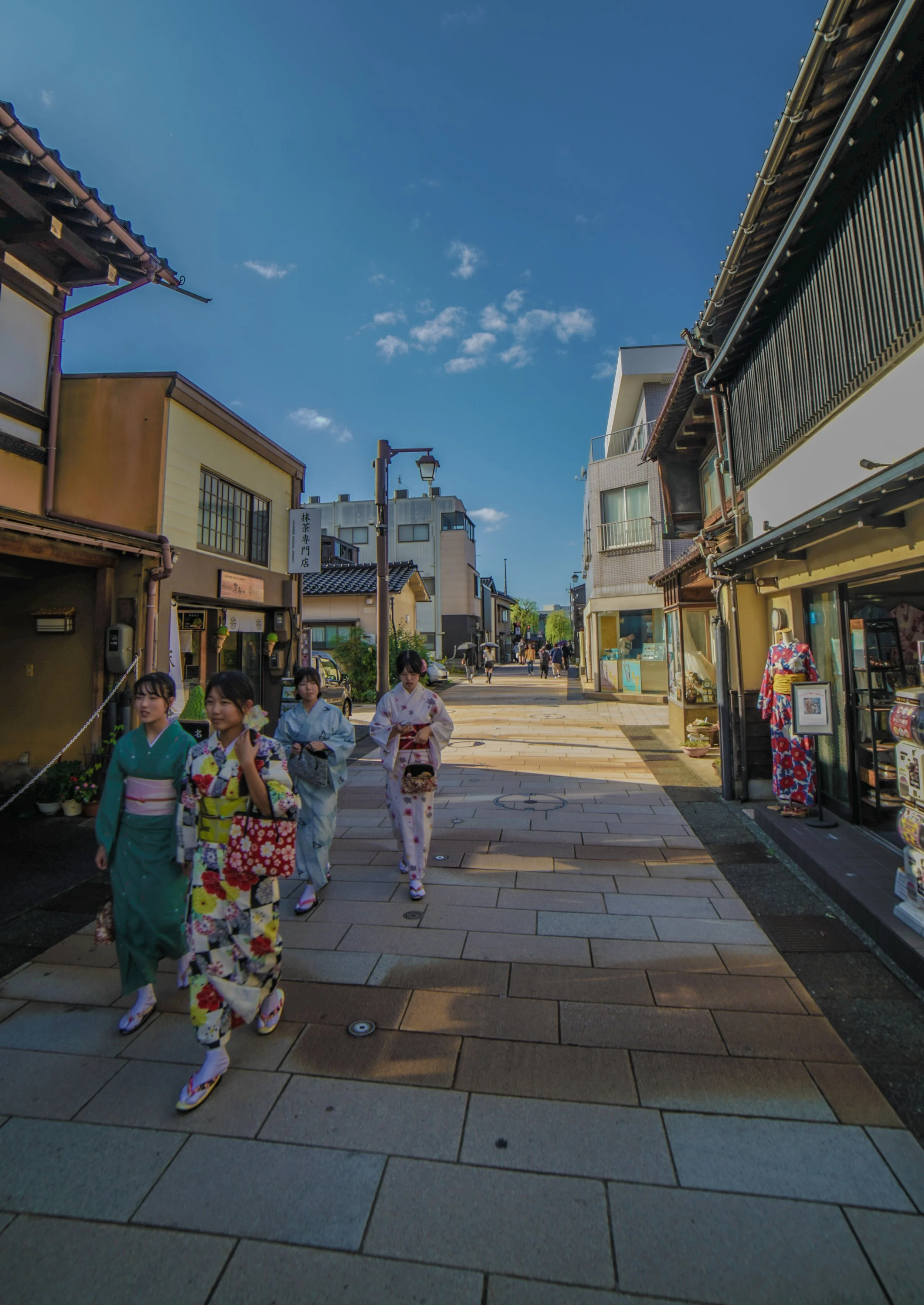 DSC08687.jpg
