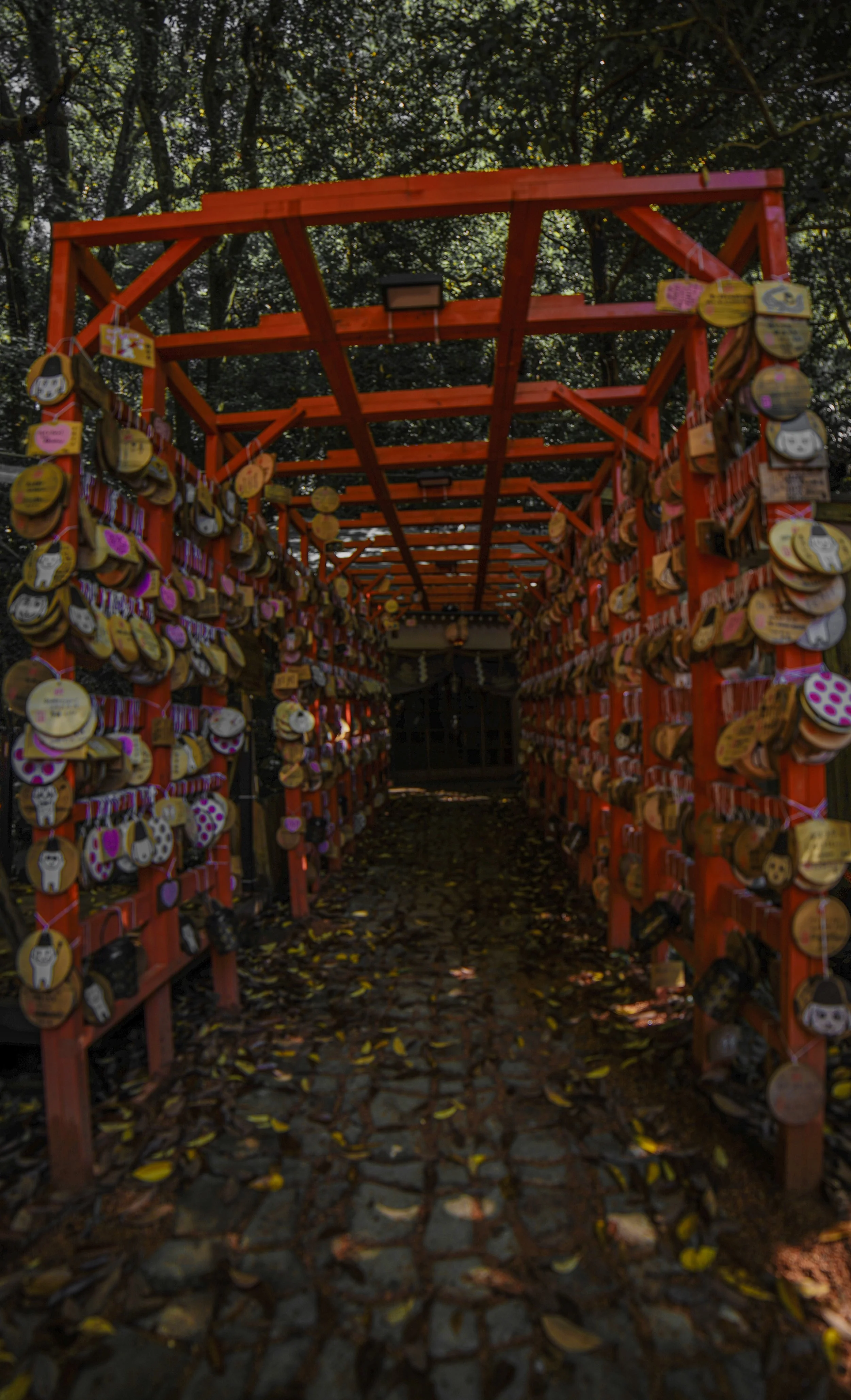 DSC08685.jpg