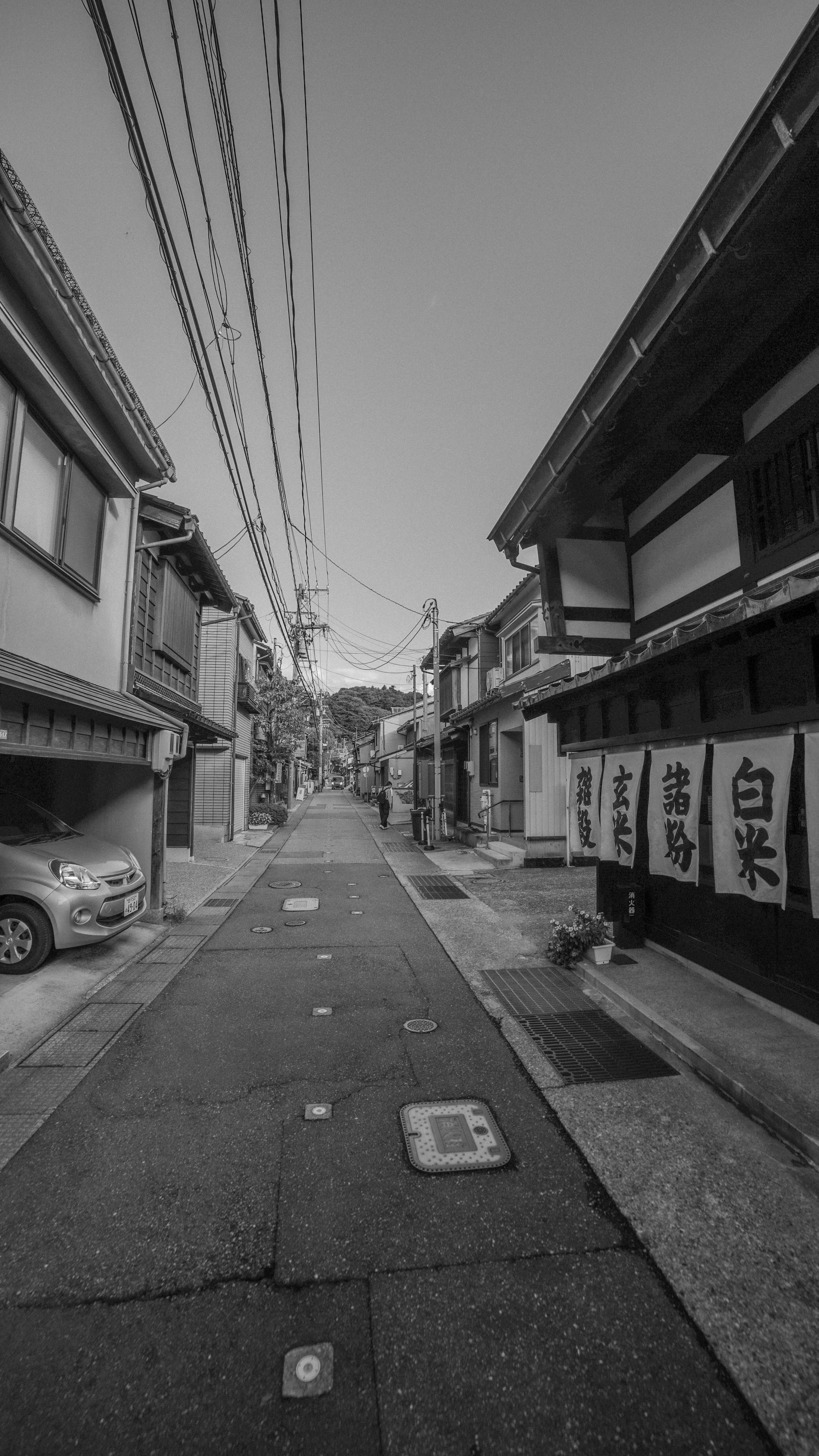 DSC08700.jpg