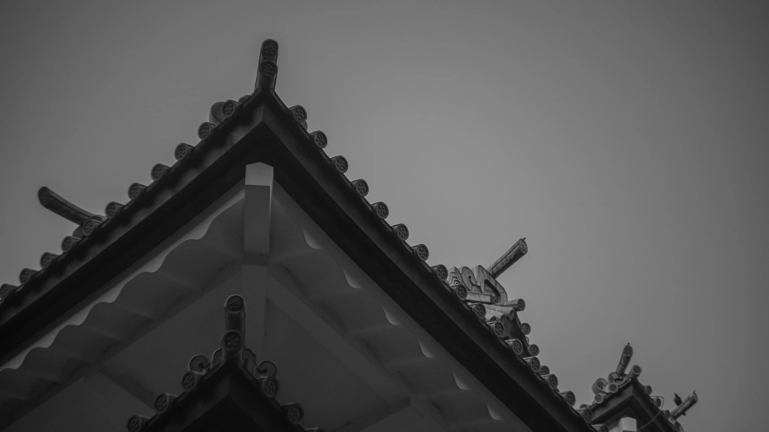DSC08596.jpg