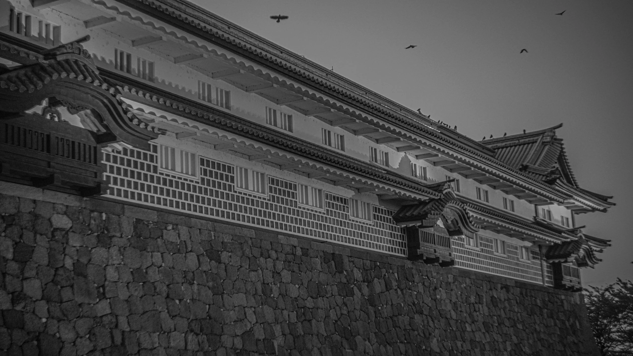 DSC08601.jpg